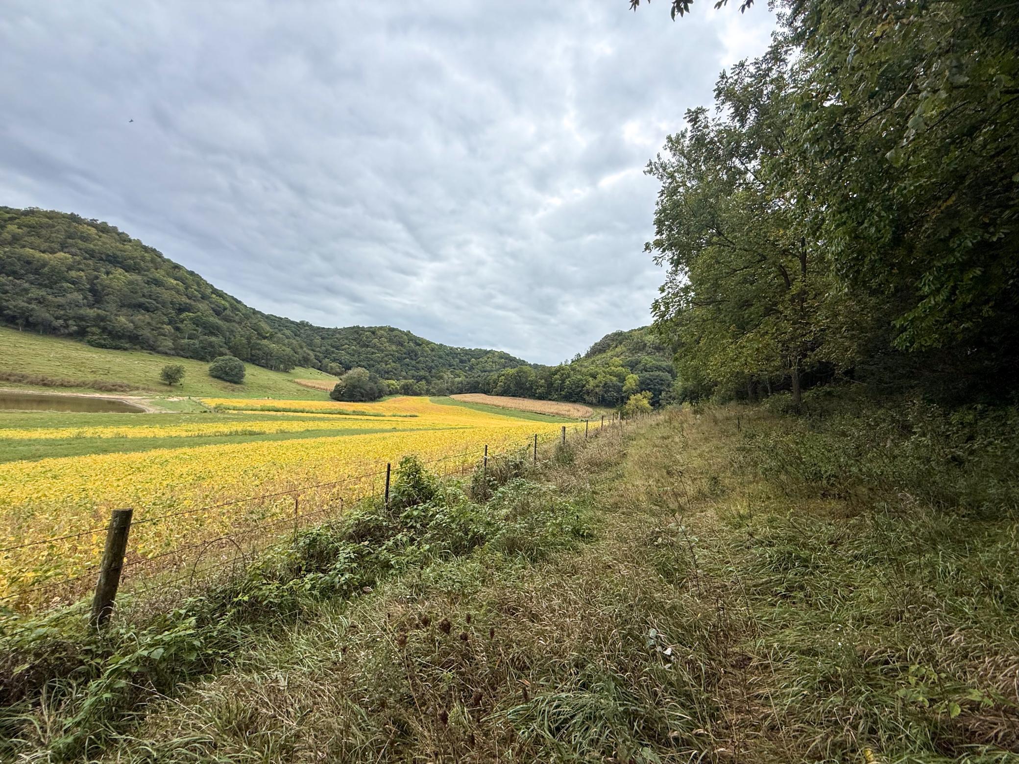 main property photo 74