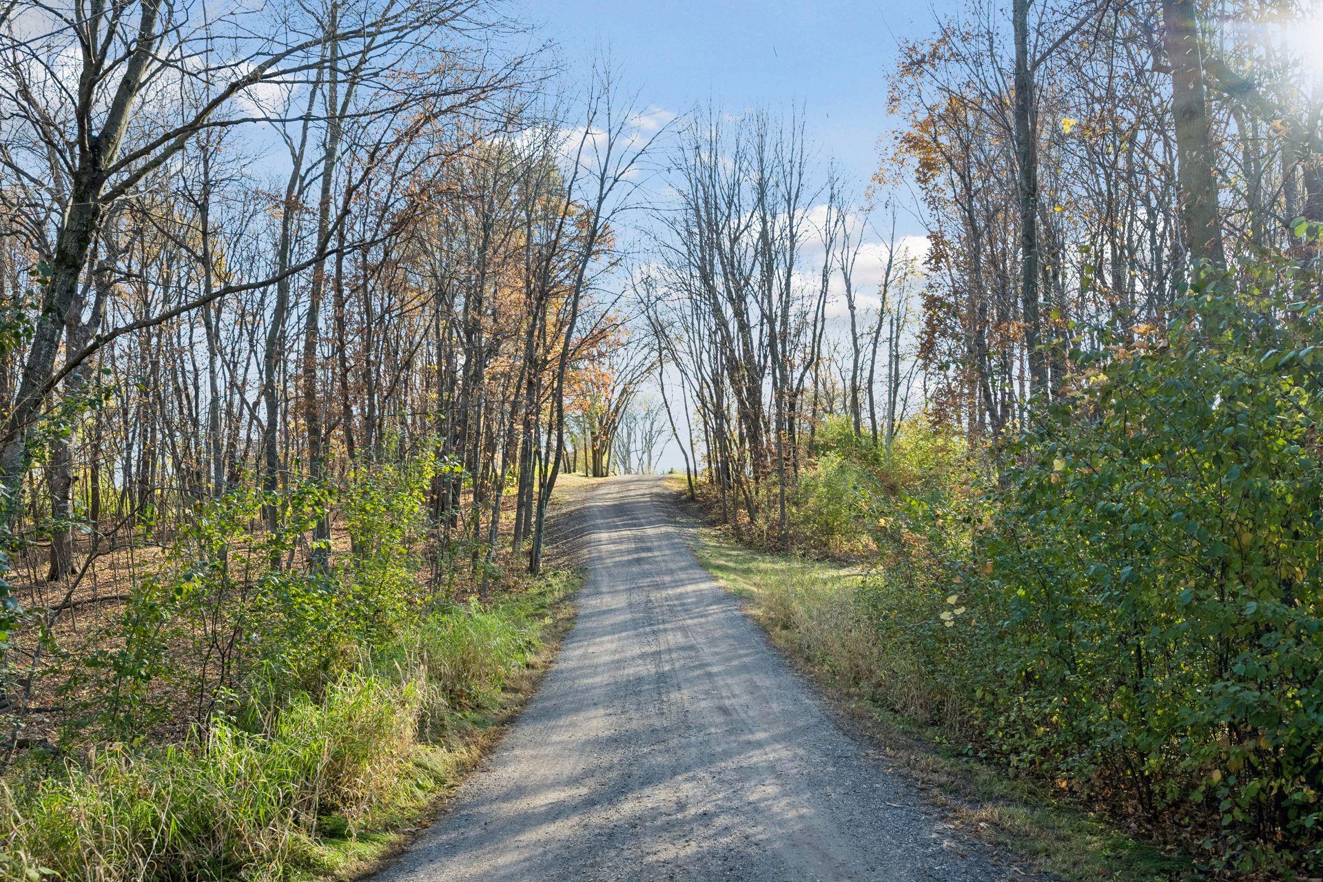 main property photo 49