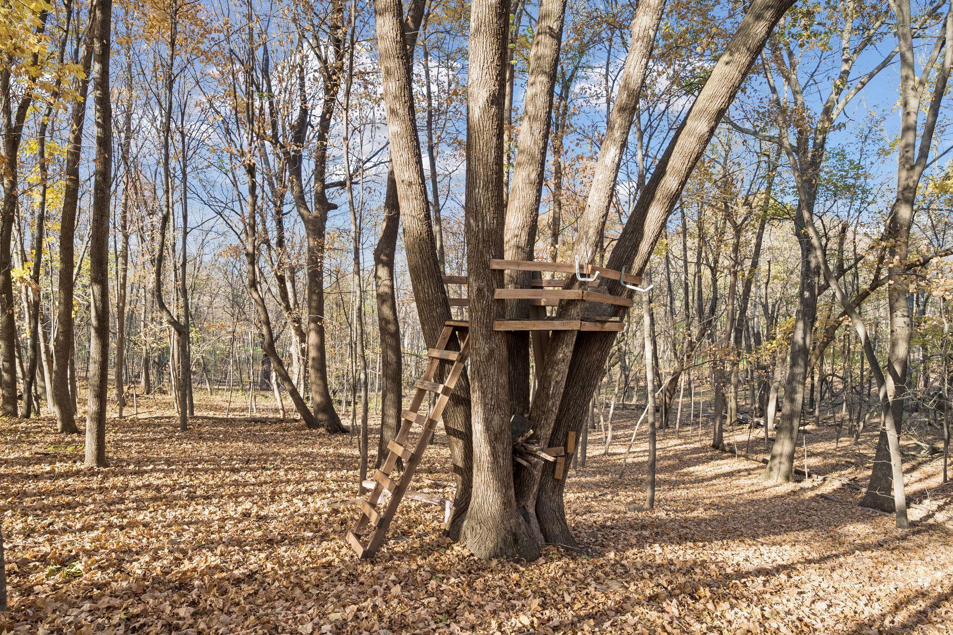 main property photo 58