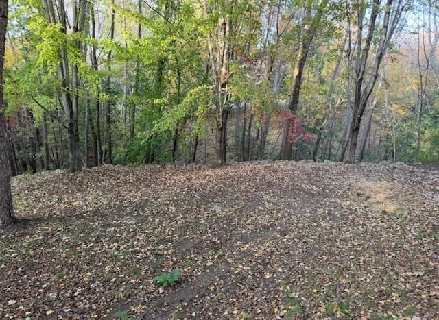 main property photo 53