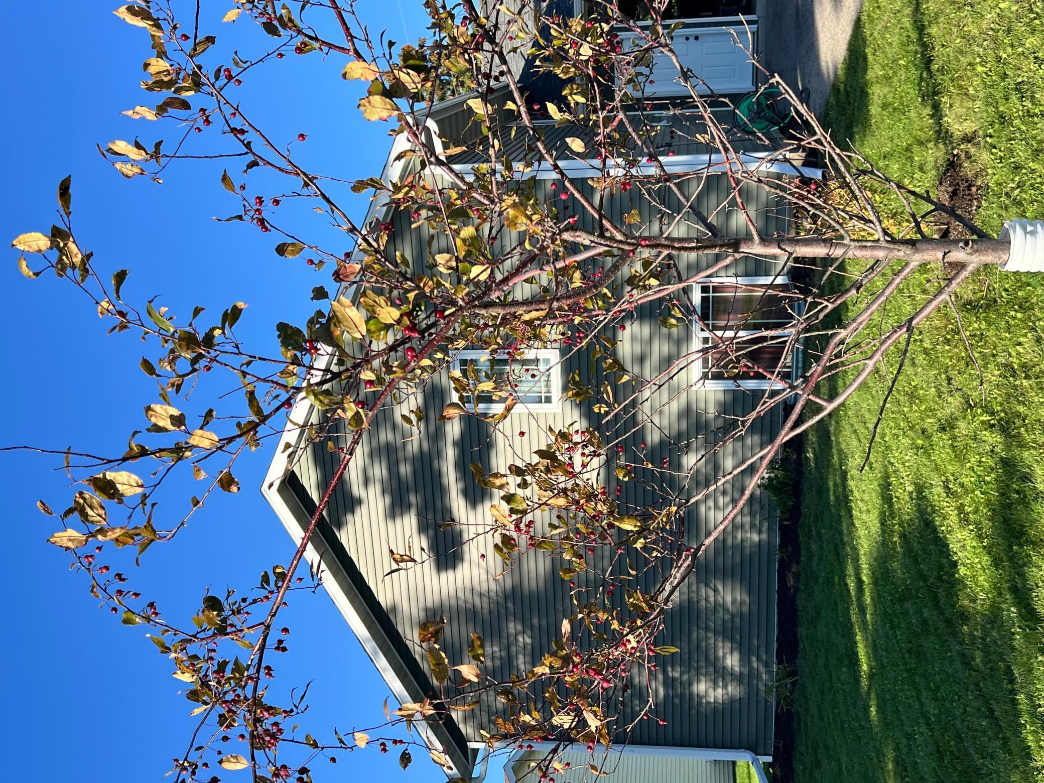main property photo 33