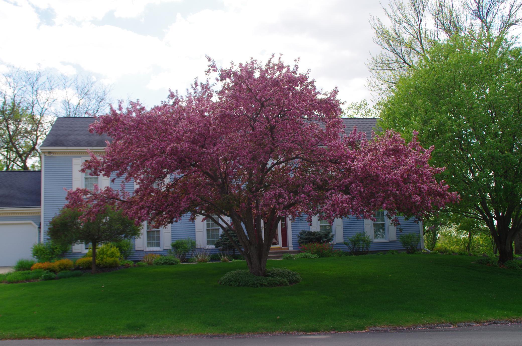 main property photo 71