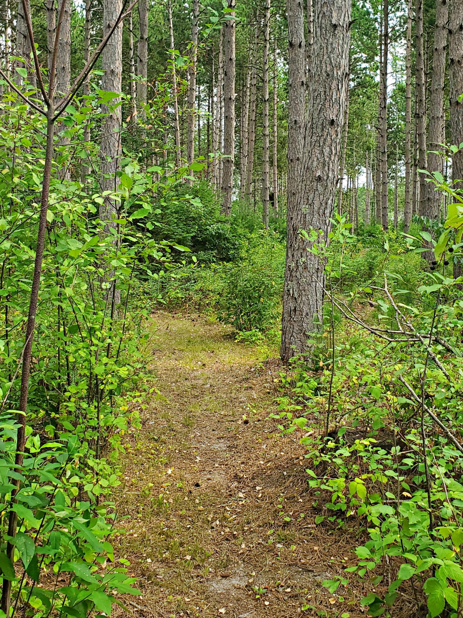 main property photo 47