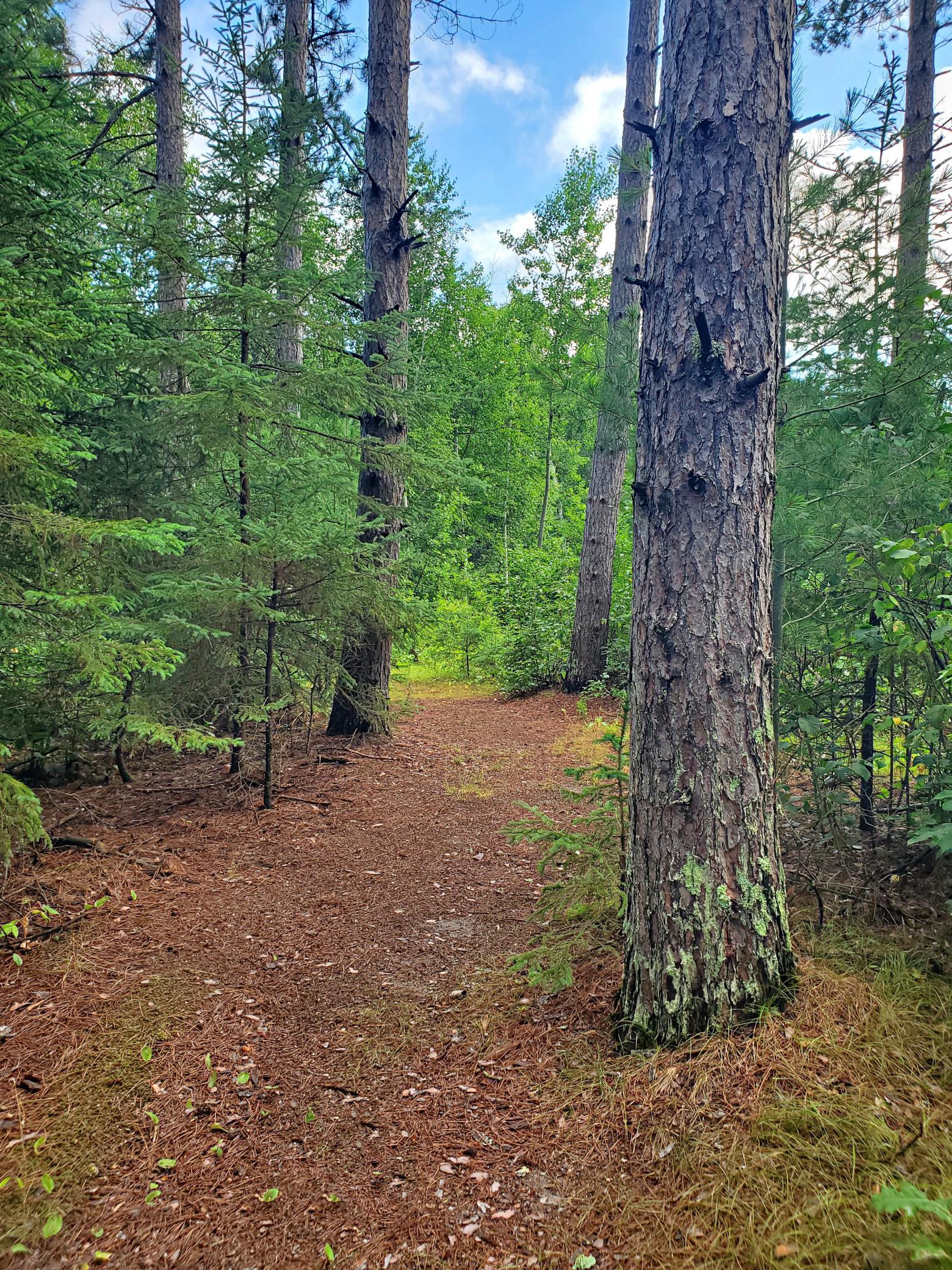 main property photo 53