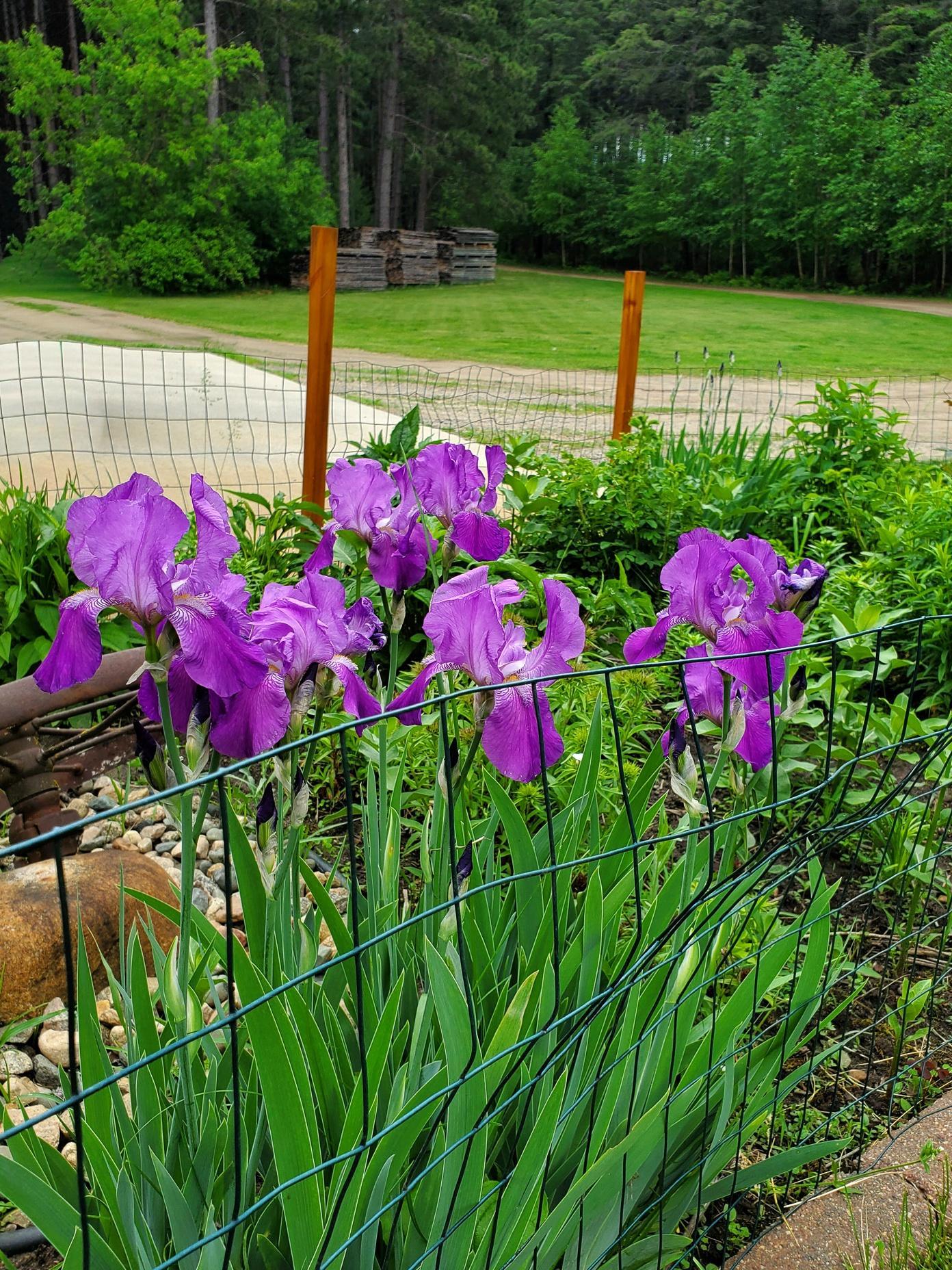 main property photo 57