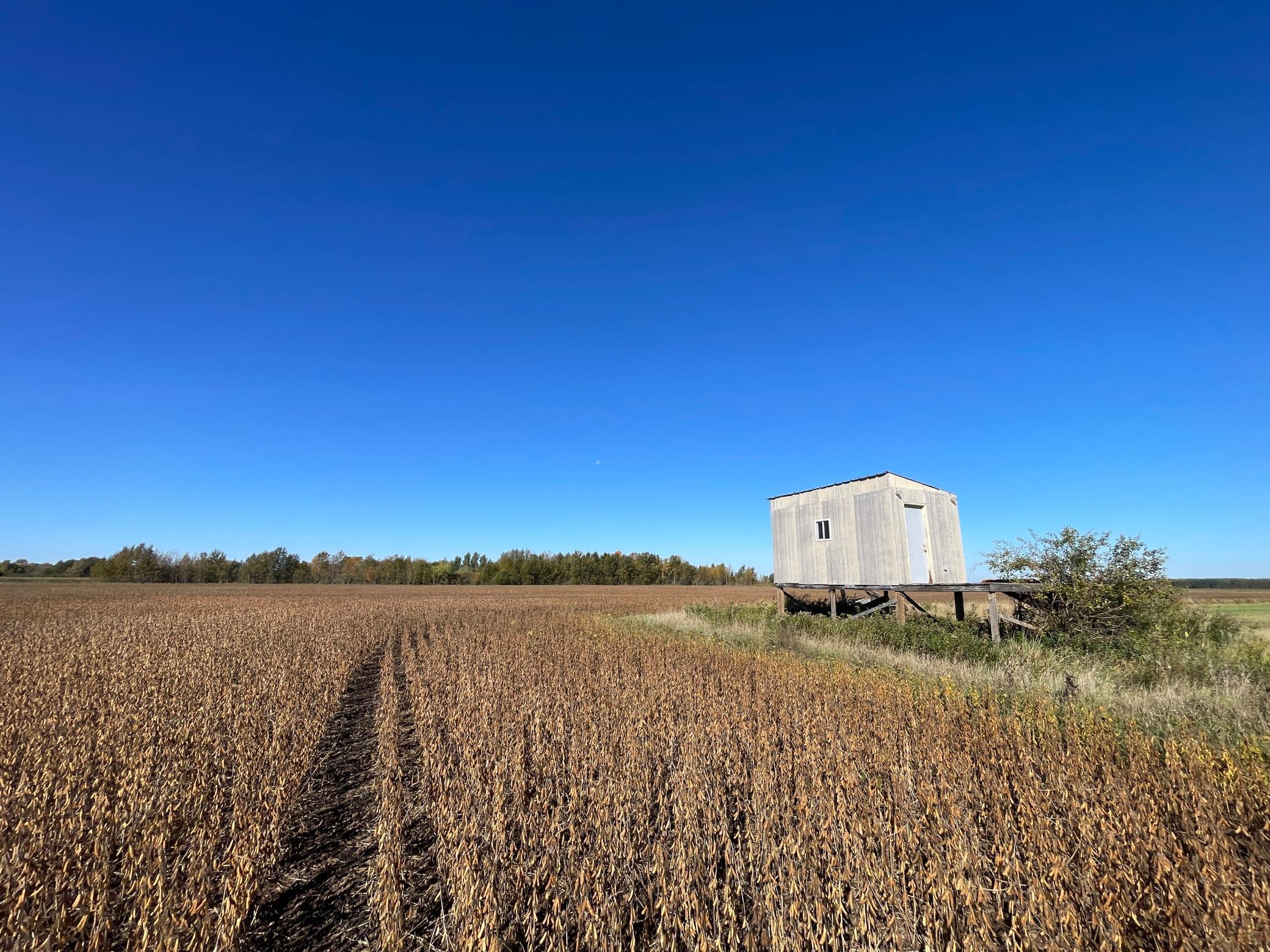 main property photo 44