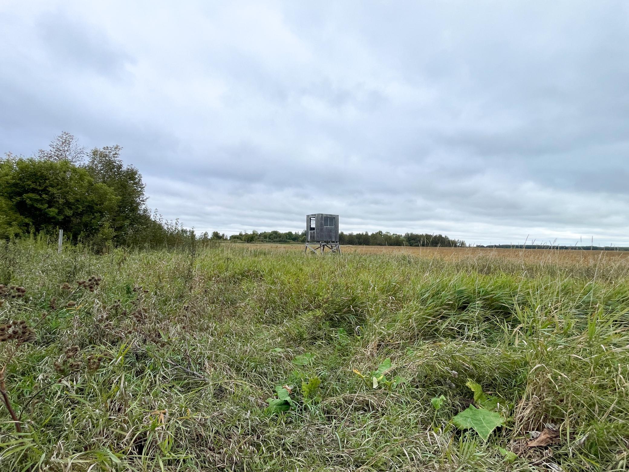main property photo 50