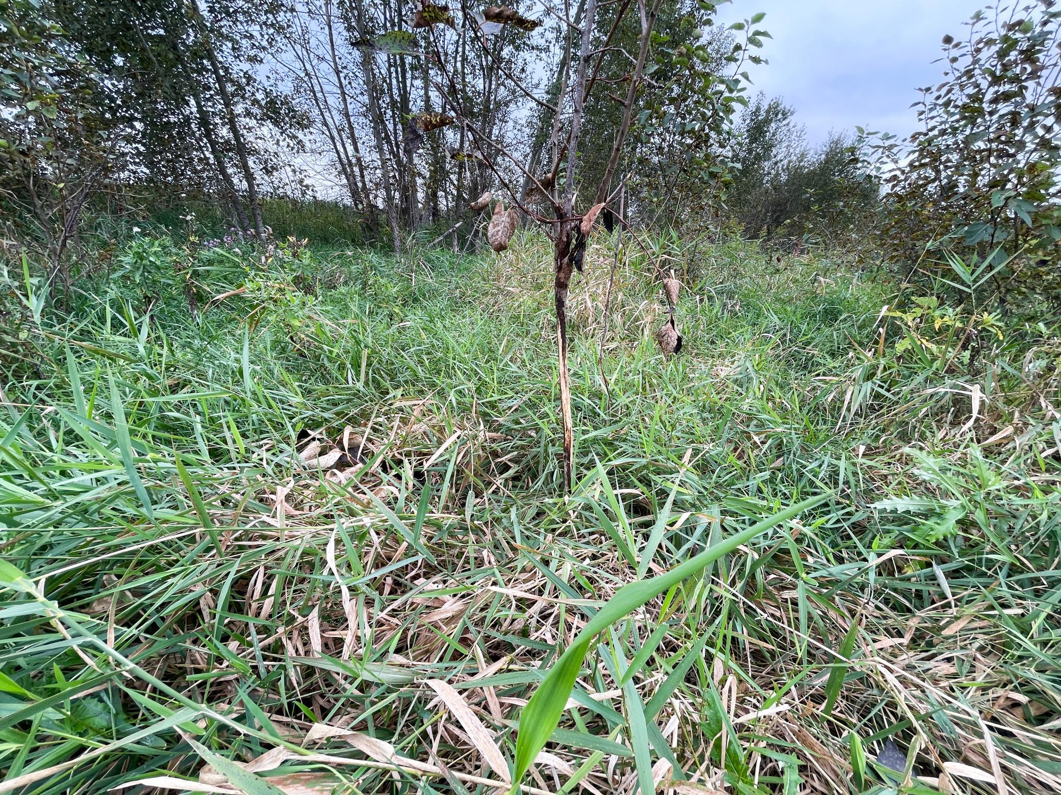 main property photo 53