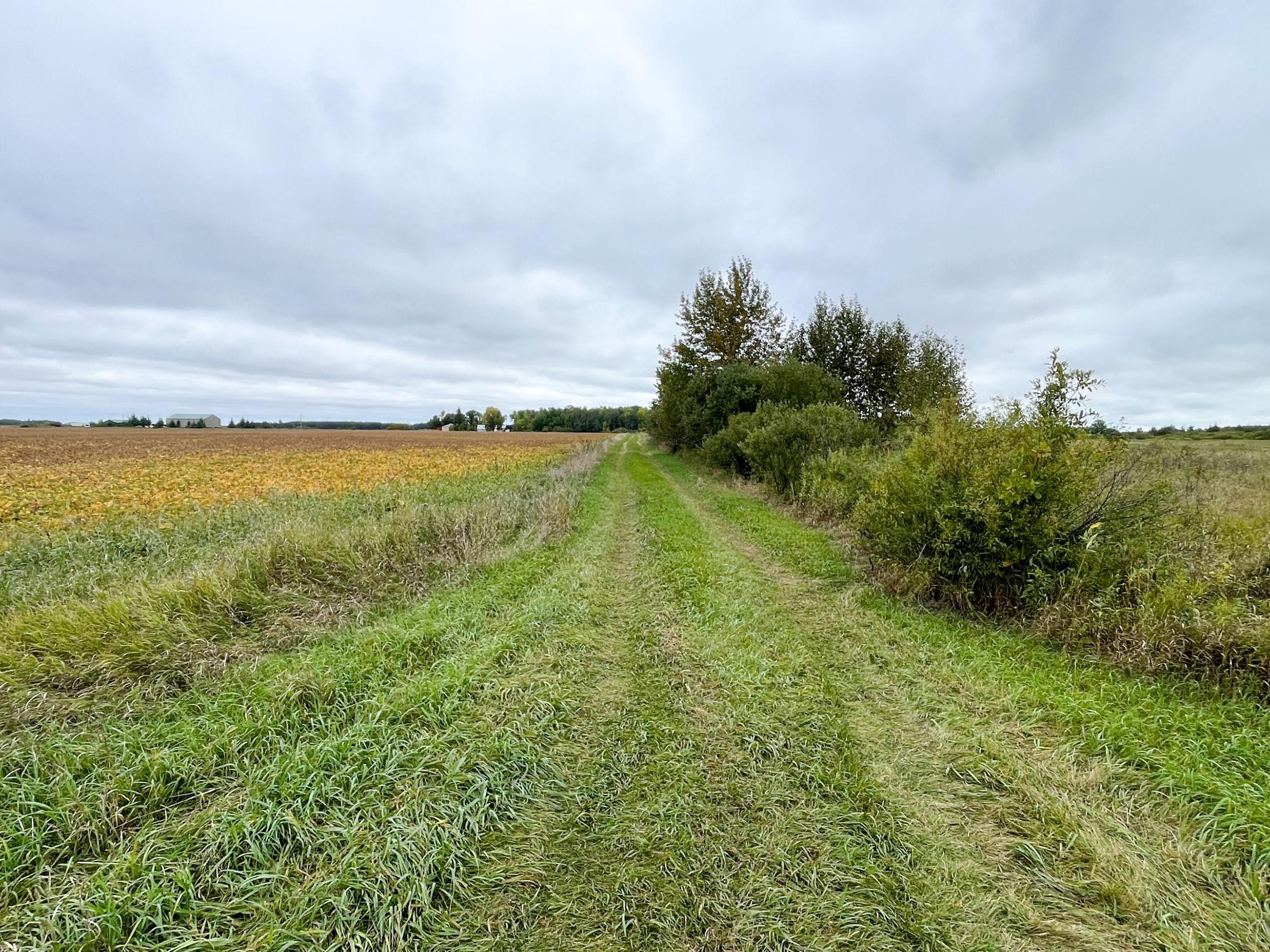 main property photo 55