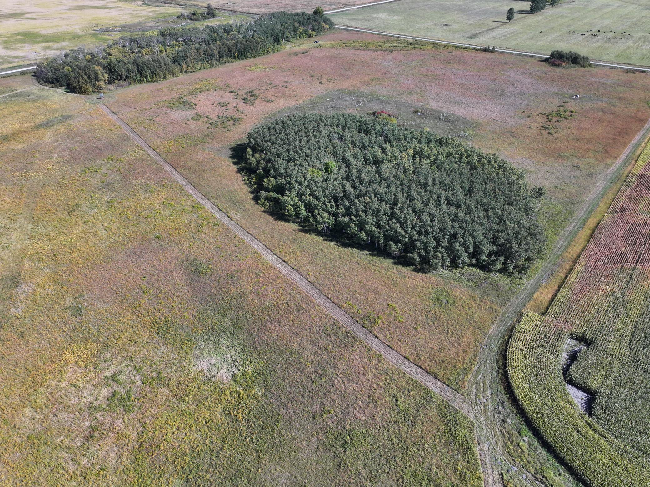 main property photo 17