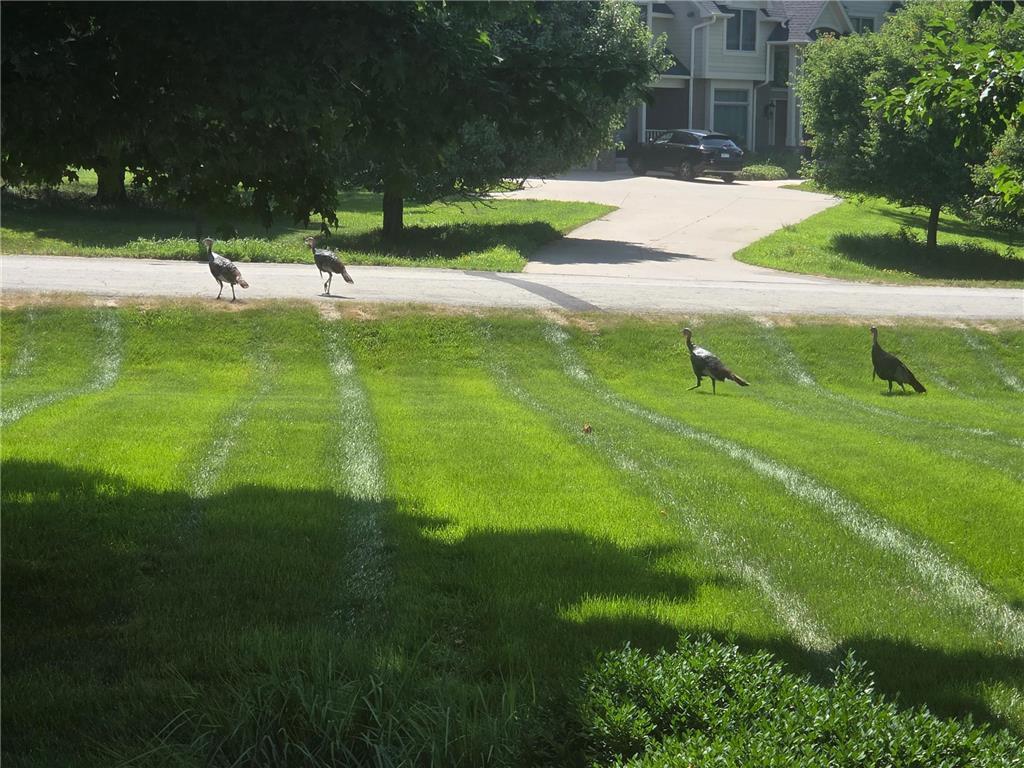 main property photo 51