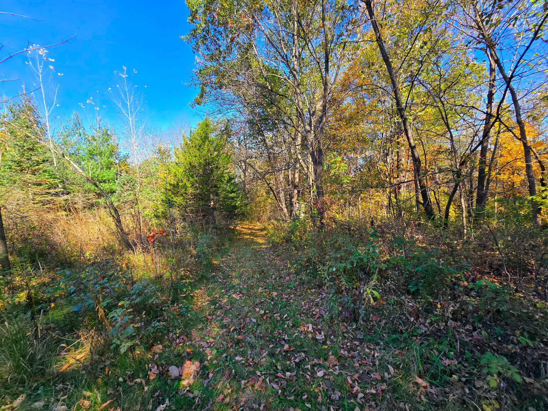main property photo 36