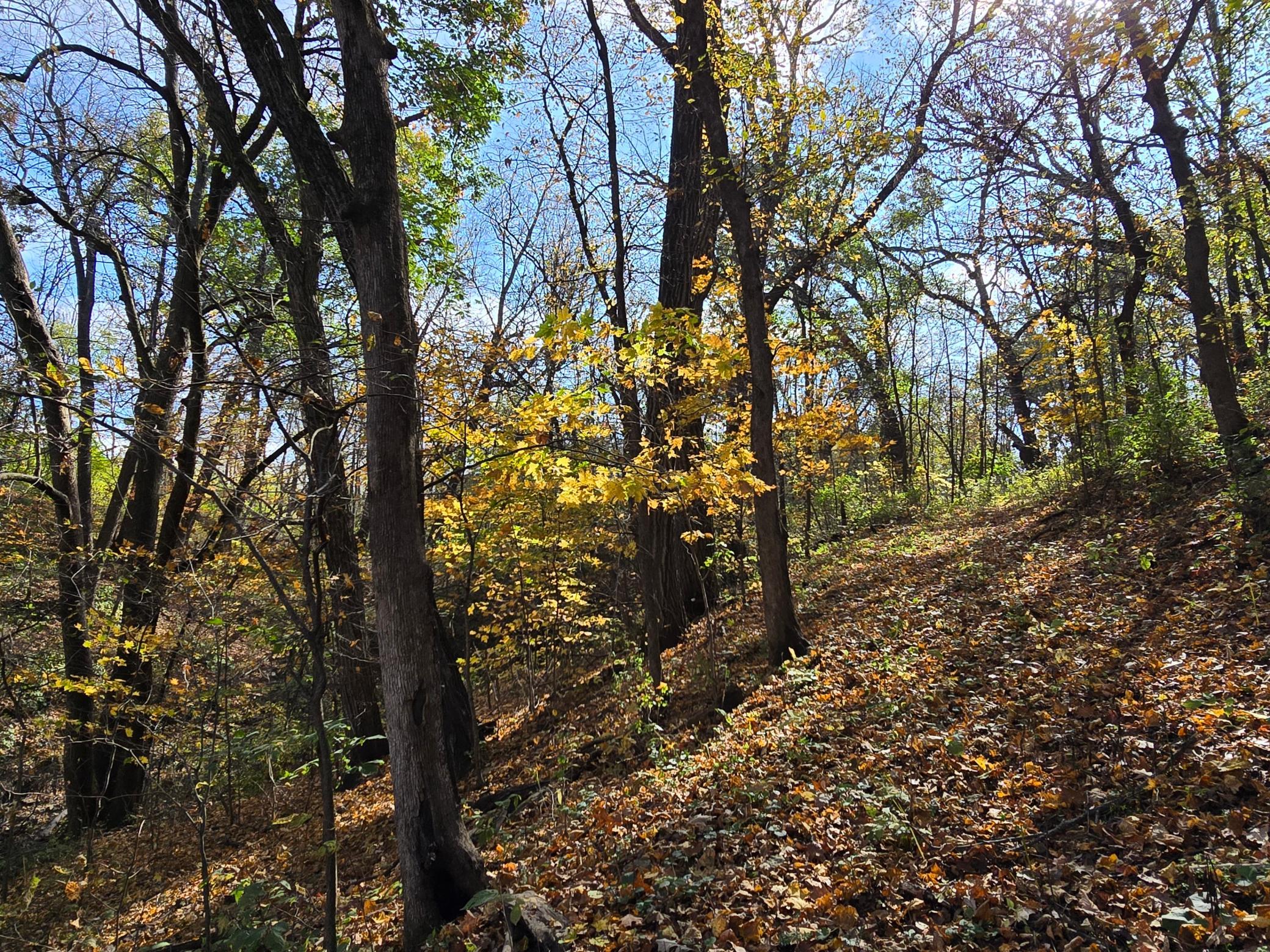 main property photo 47