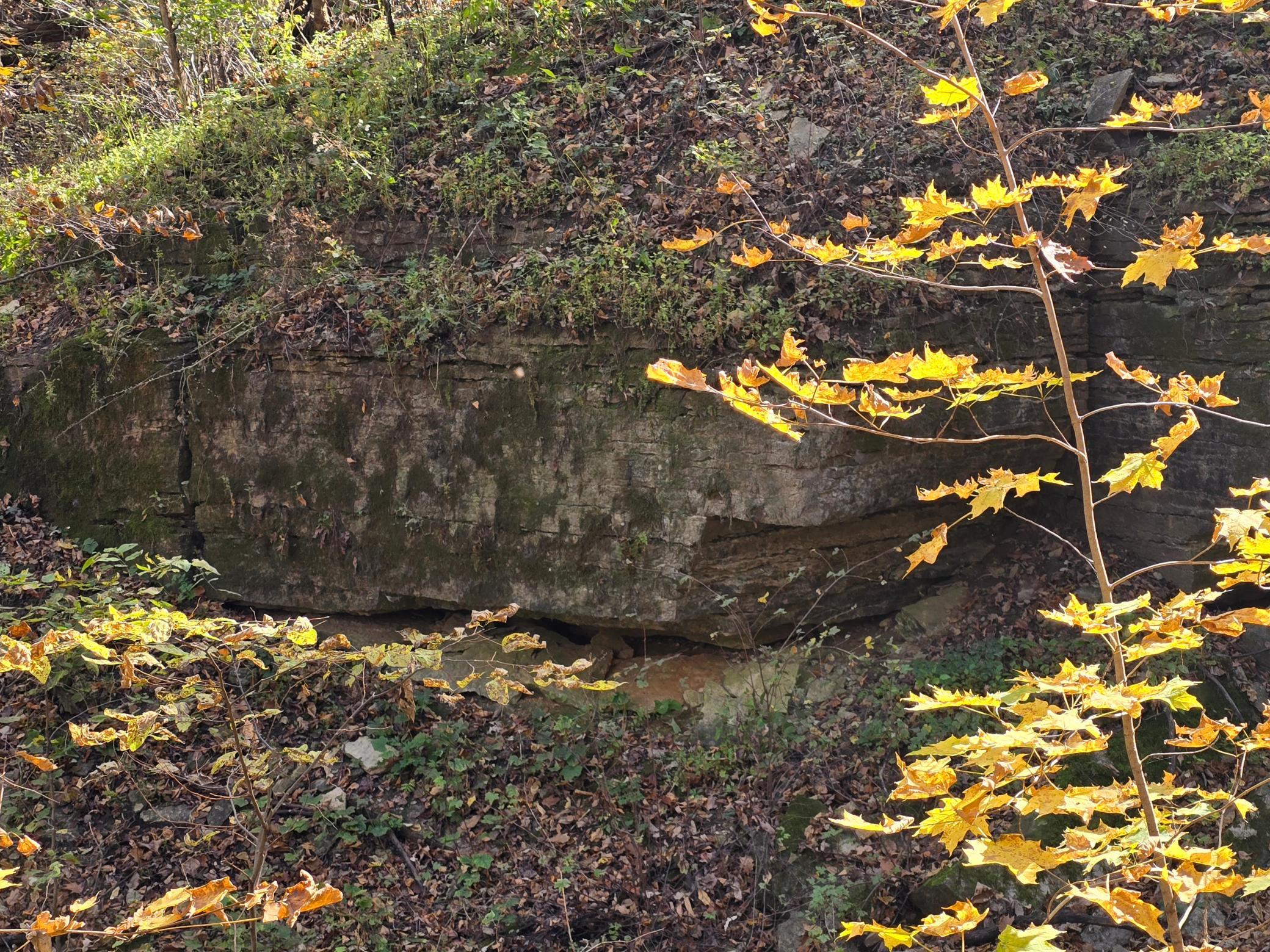 main property photo 50
