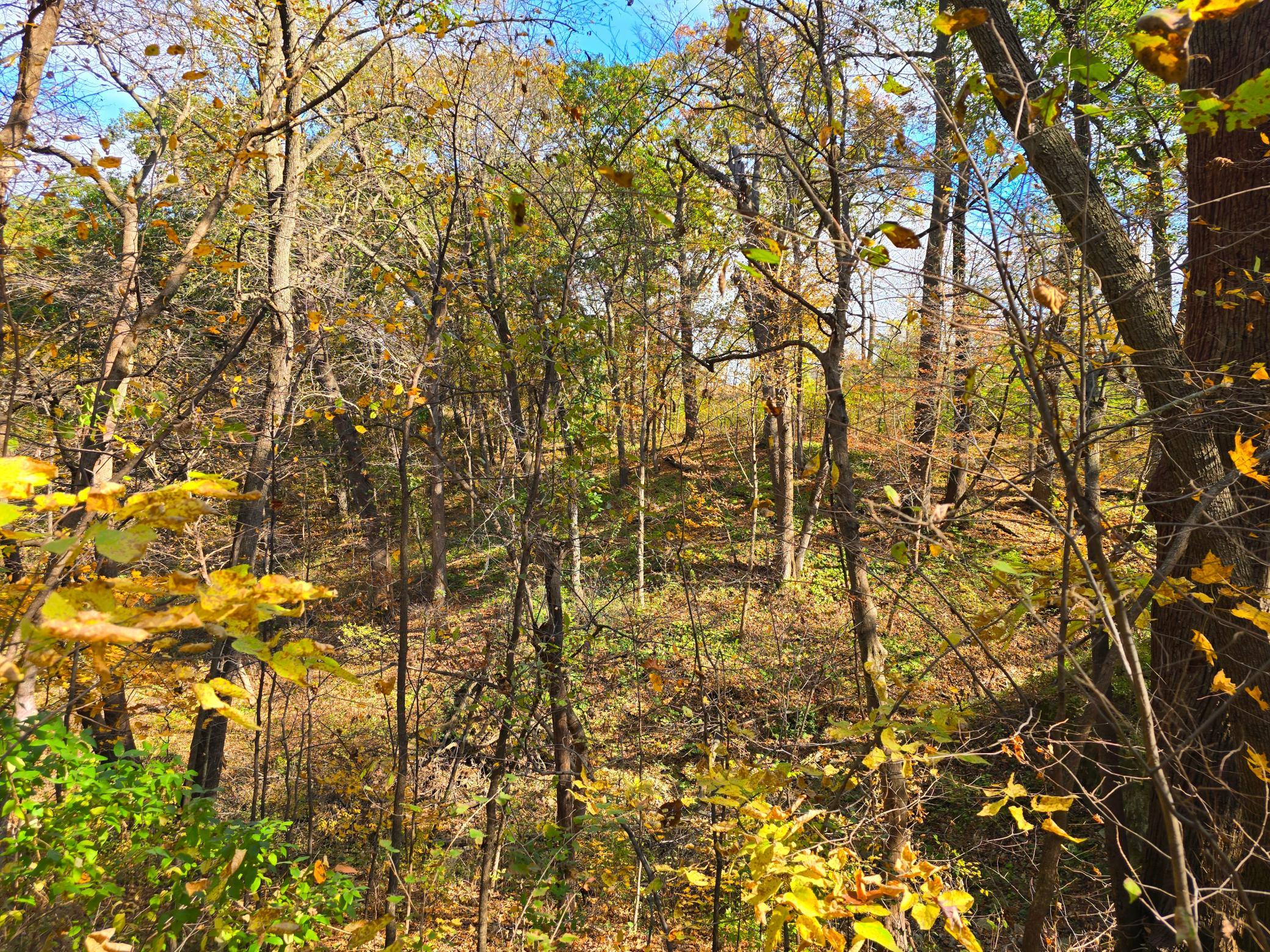 main property photo 51
