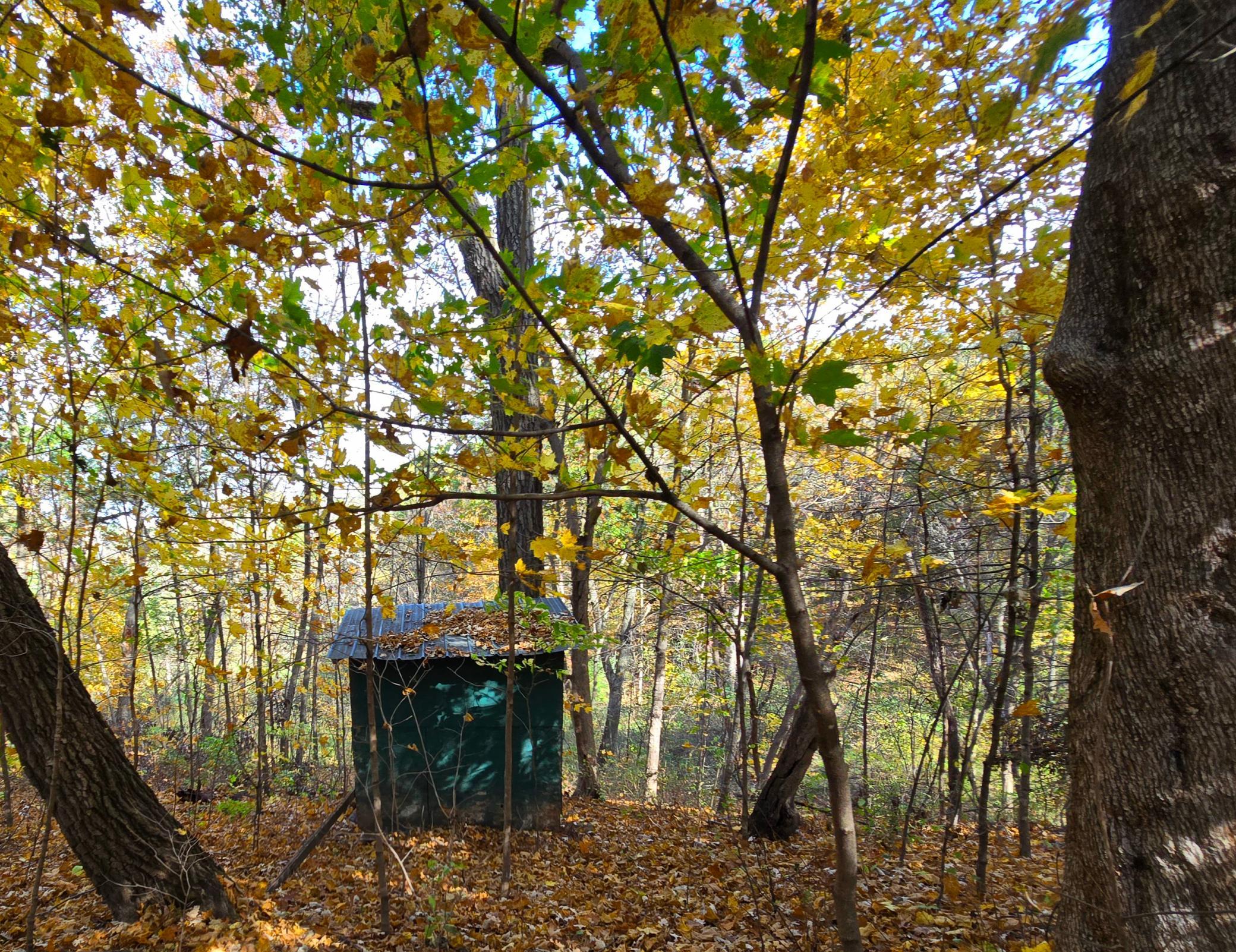 main property photo 55