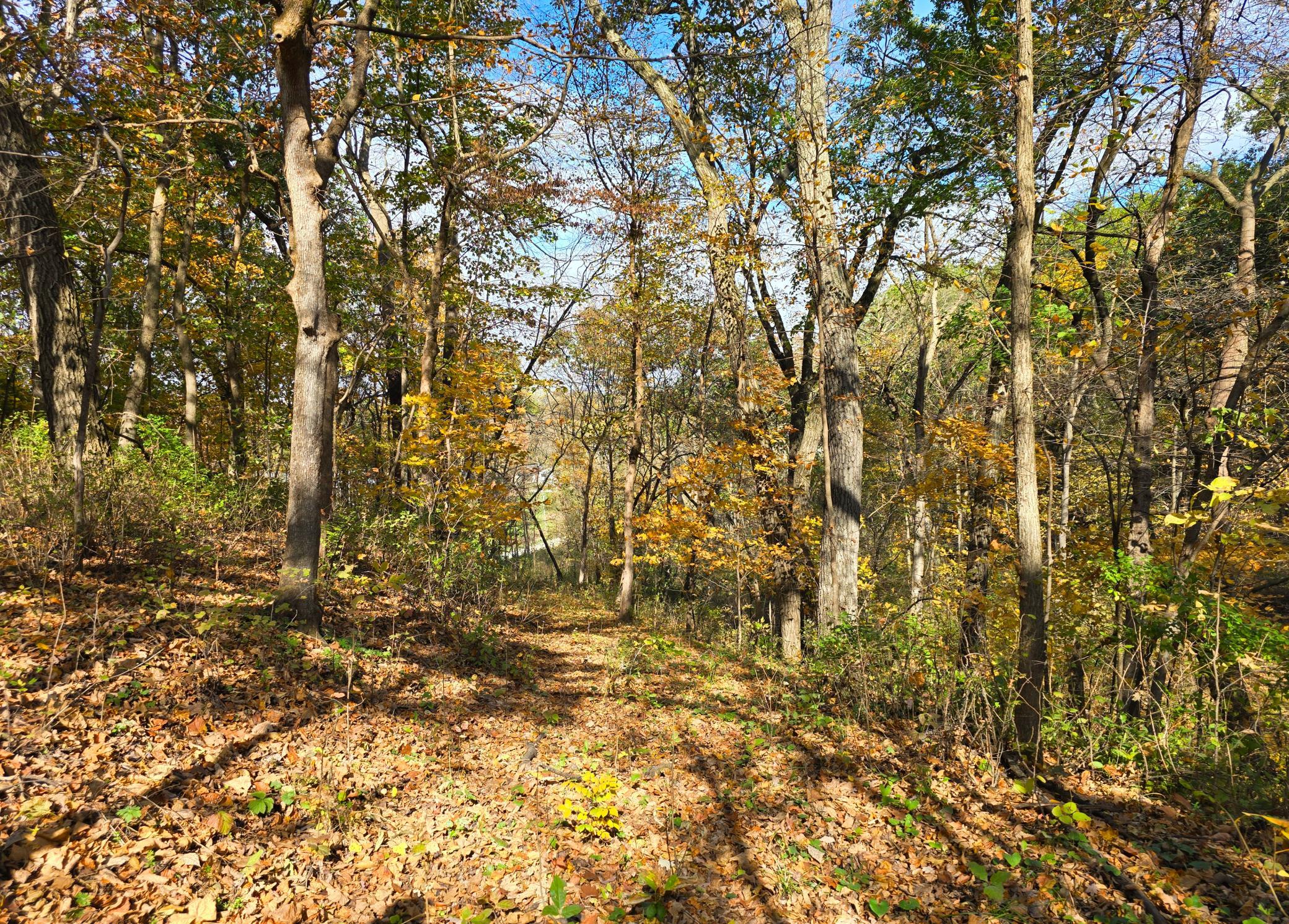 main property photo 56