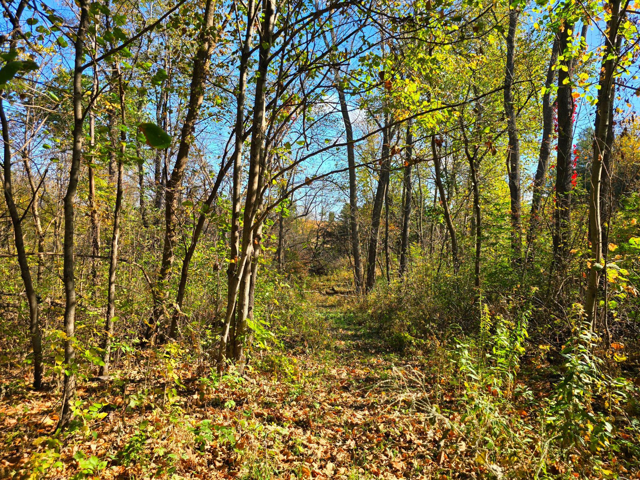 main property photo 57