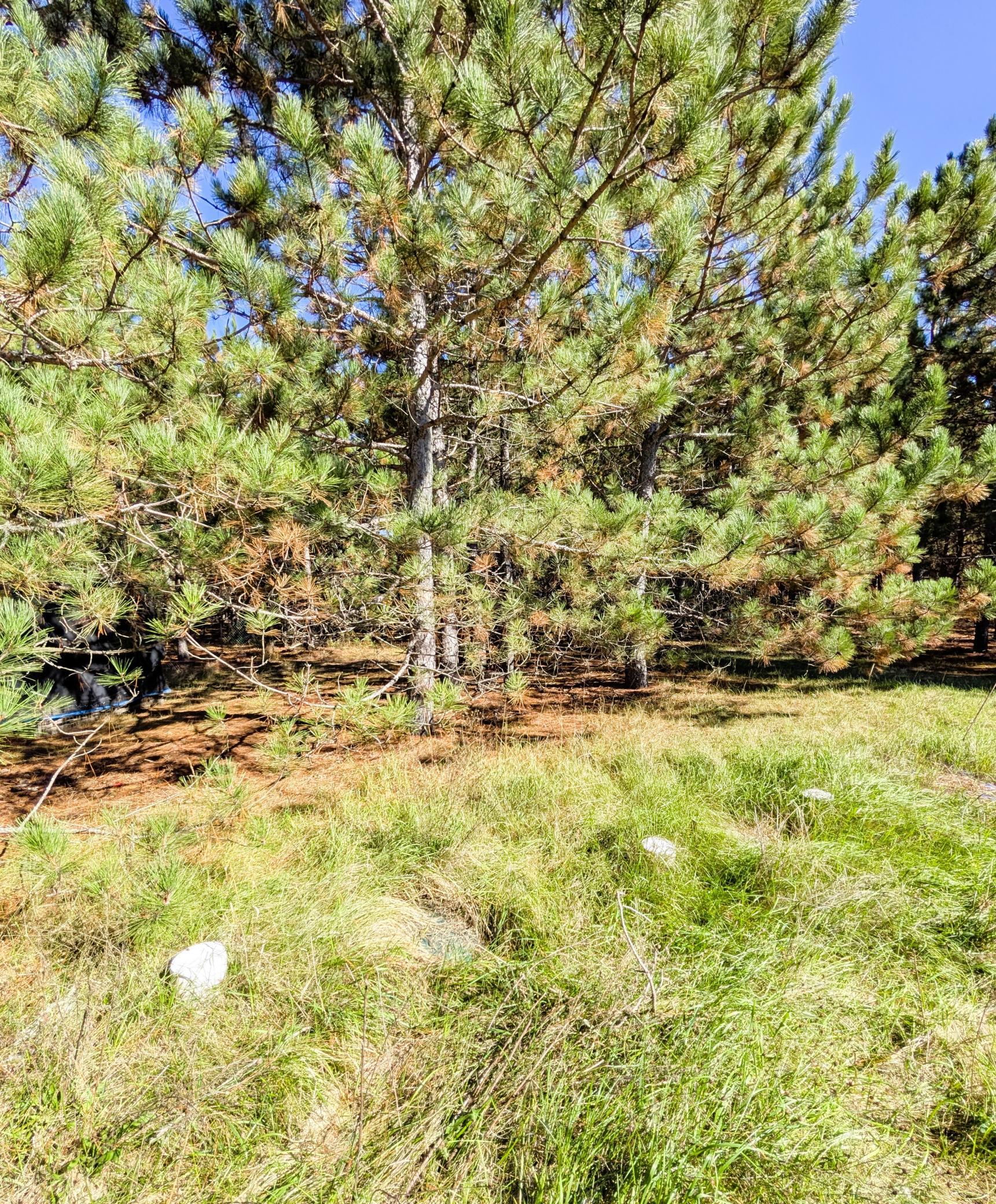 main property photo 71
