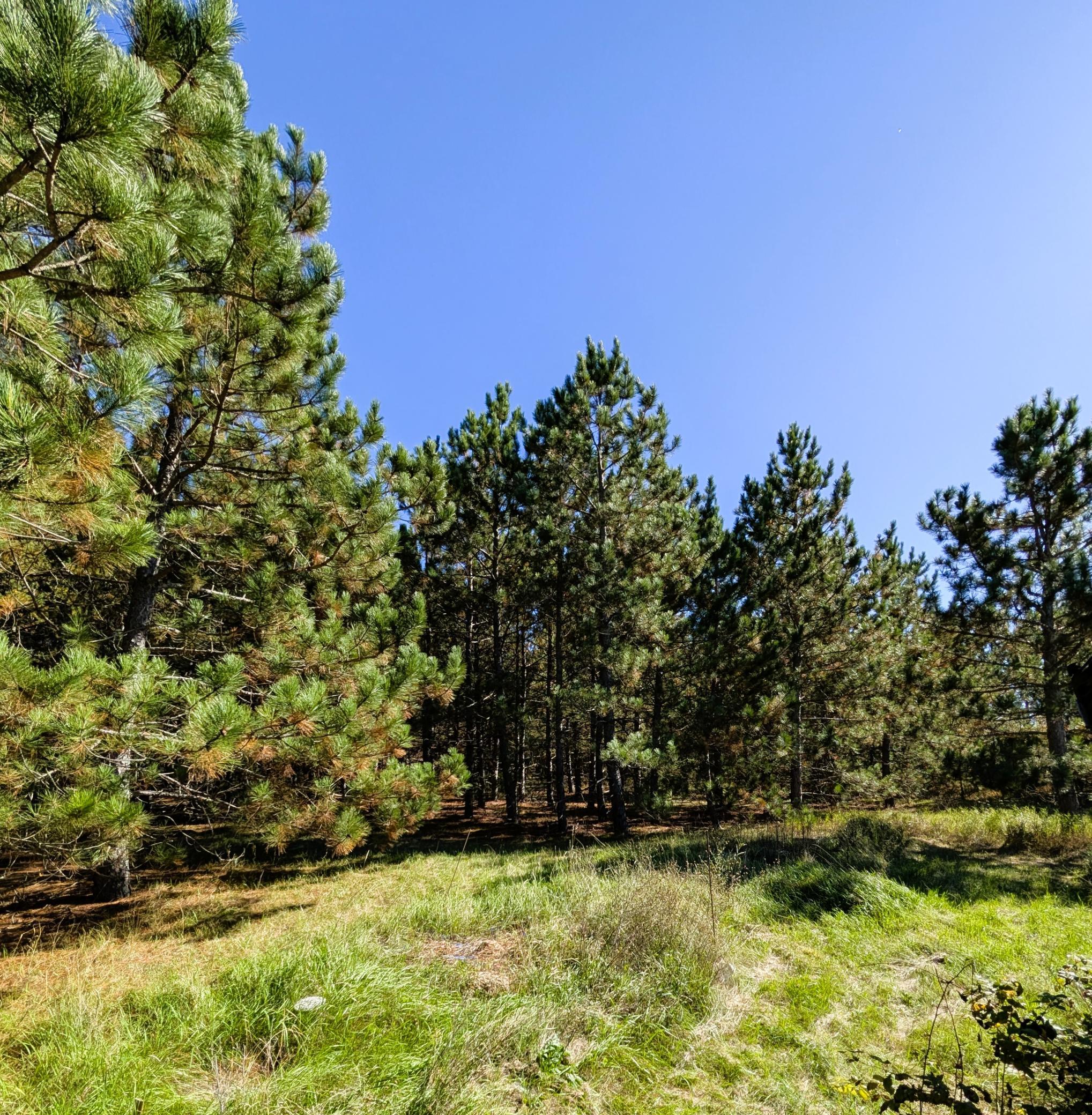 main property photo 72