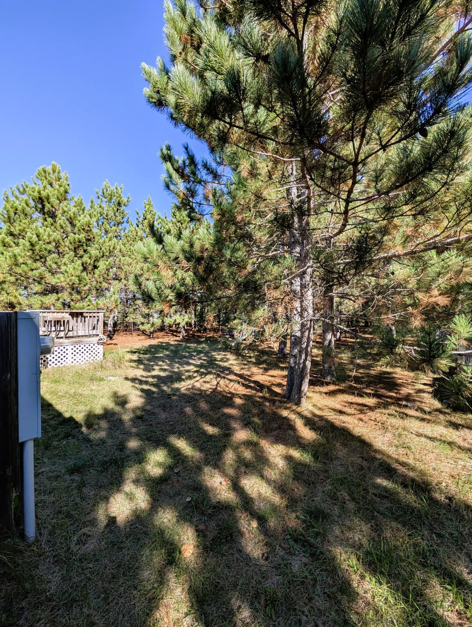 main property photo 74