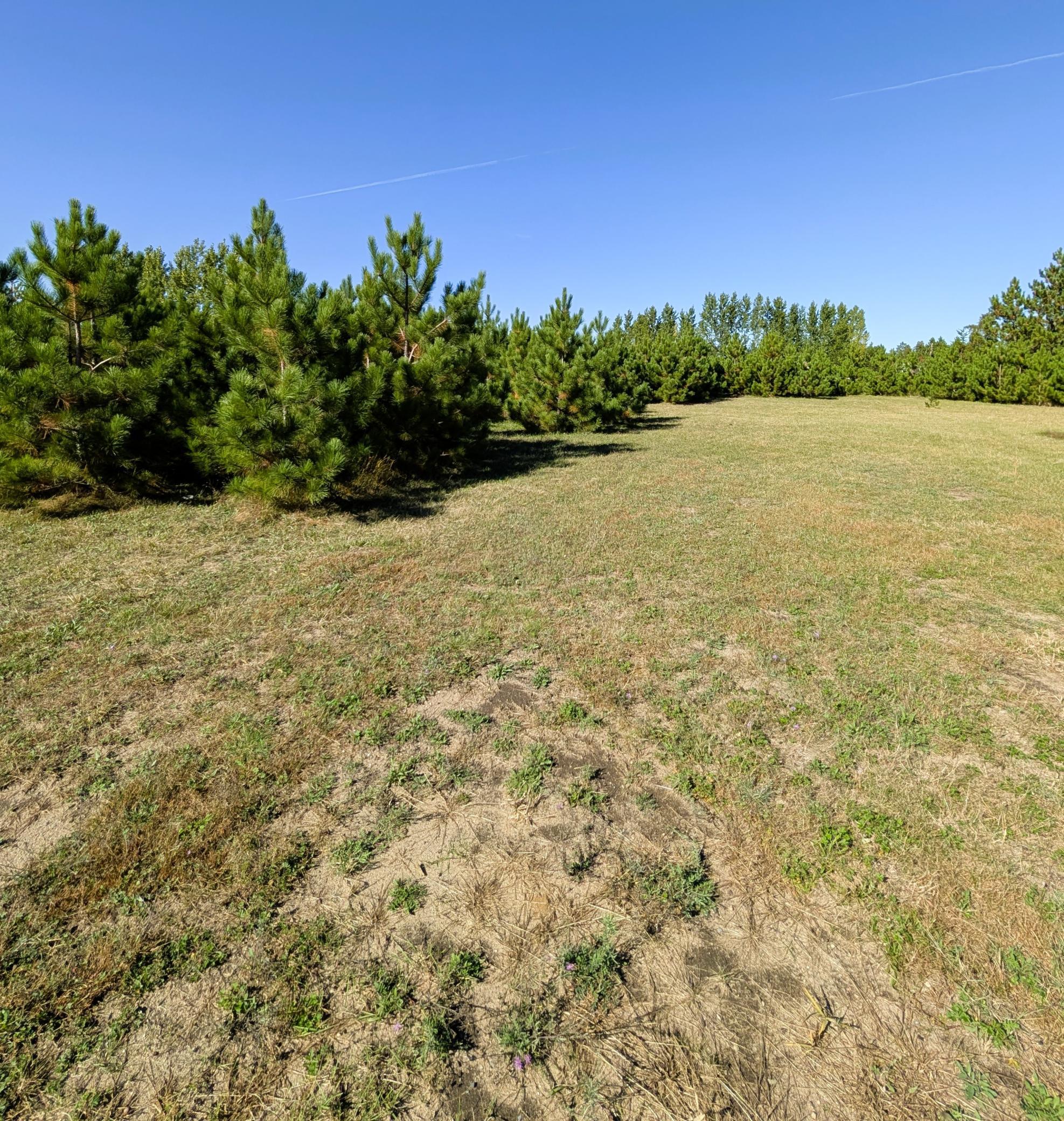 main property photo 87