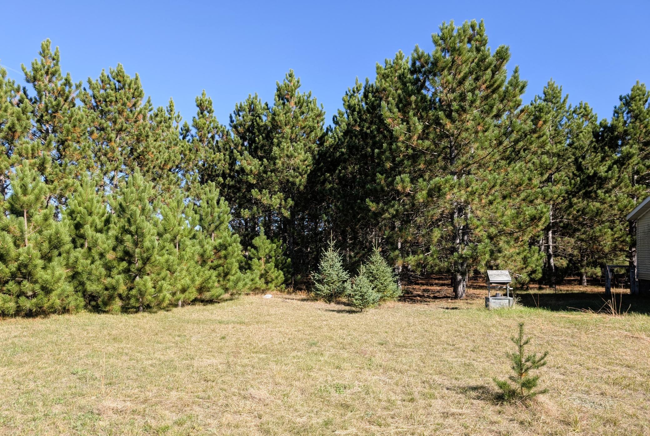 main property photo 89