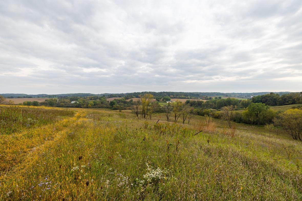 main property photo 58