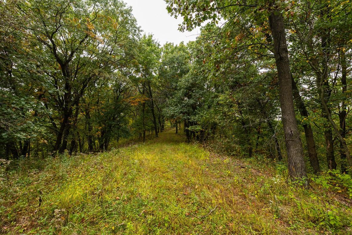 main property photo 75