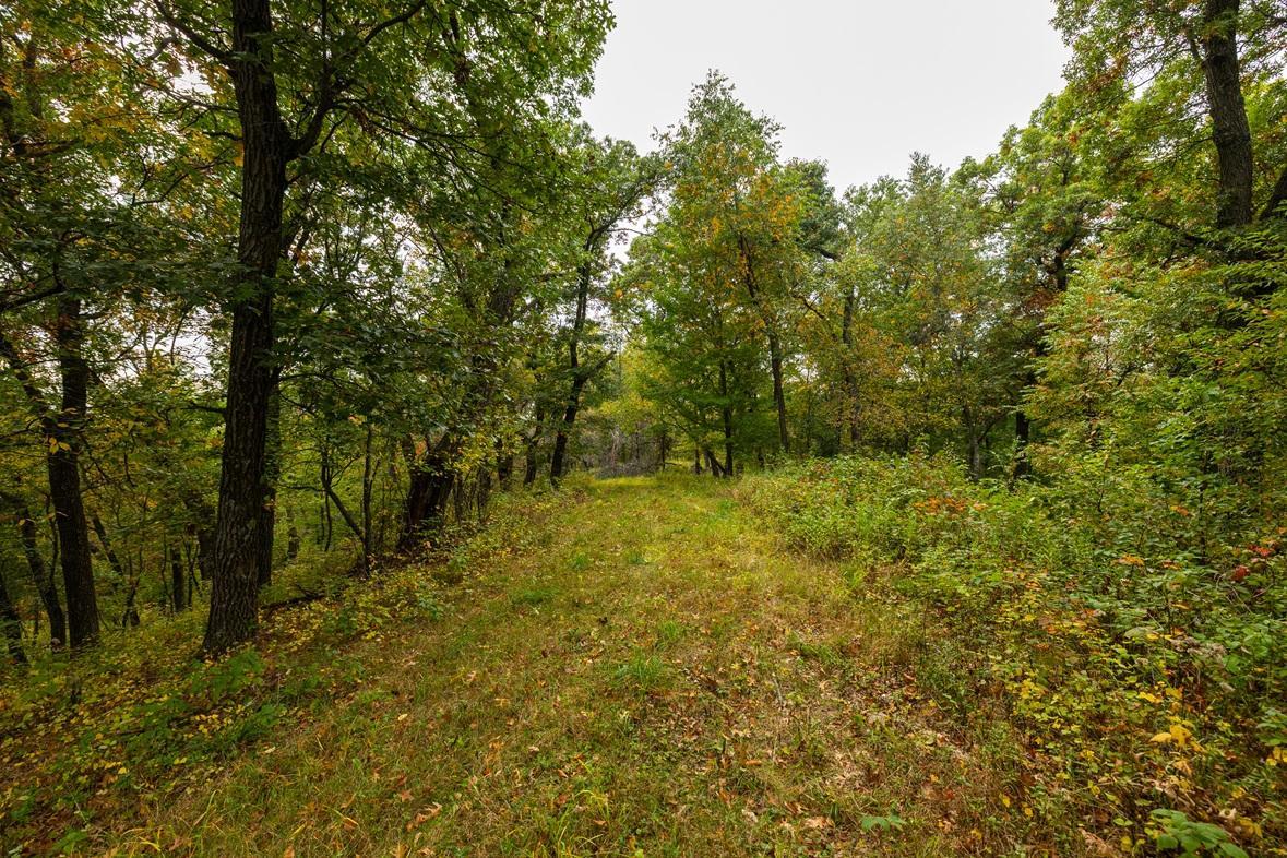 main property photo 76