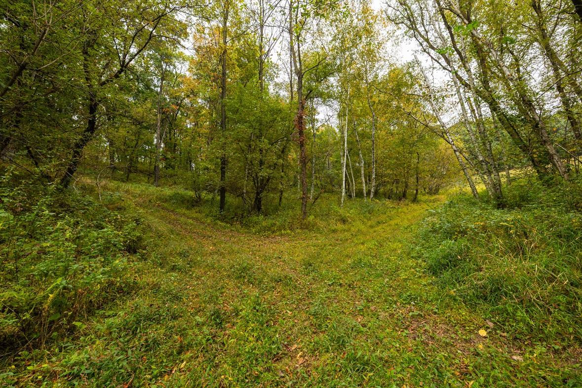 main property photo 77