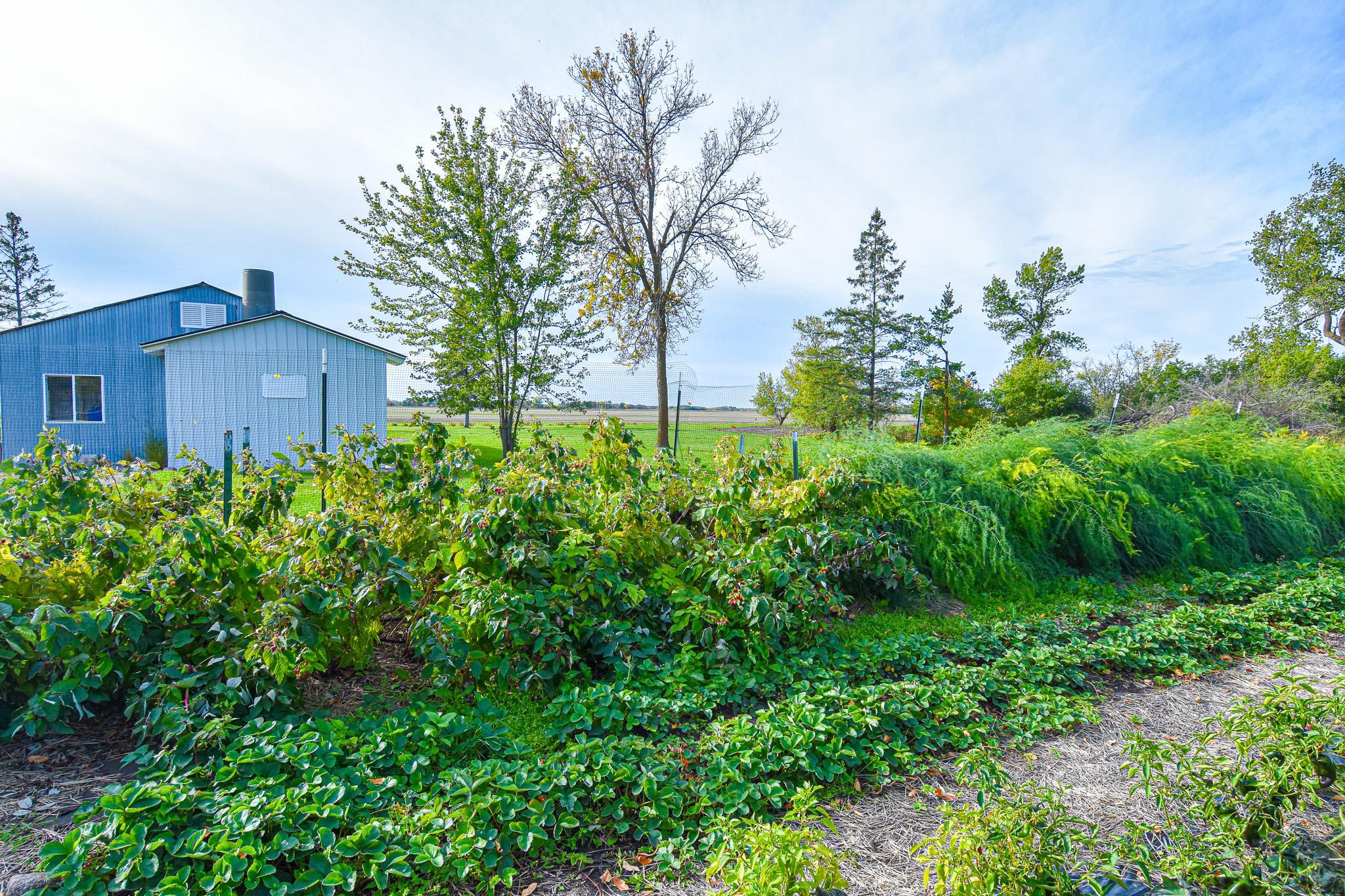 main property photo 50