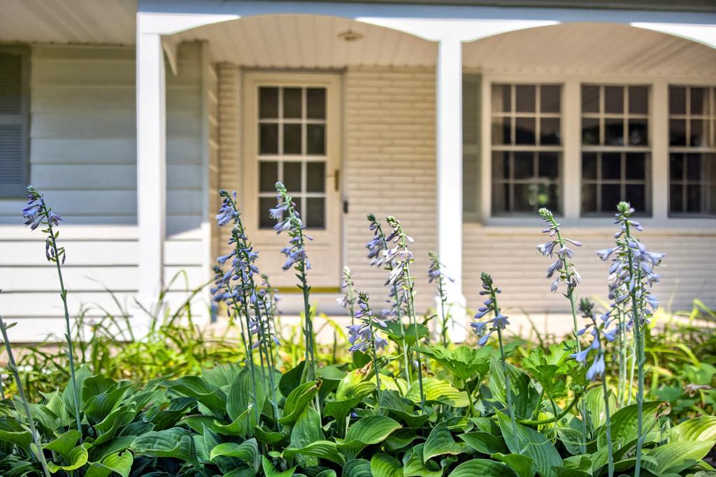 main property photo 71