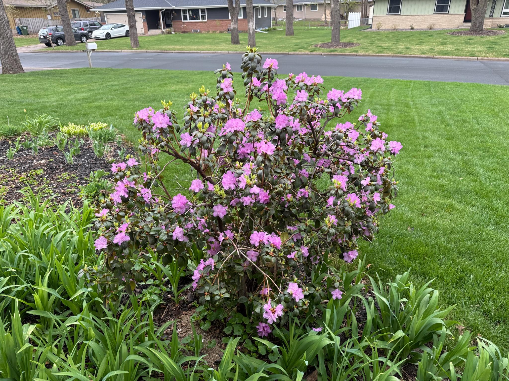 main property photo 74