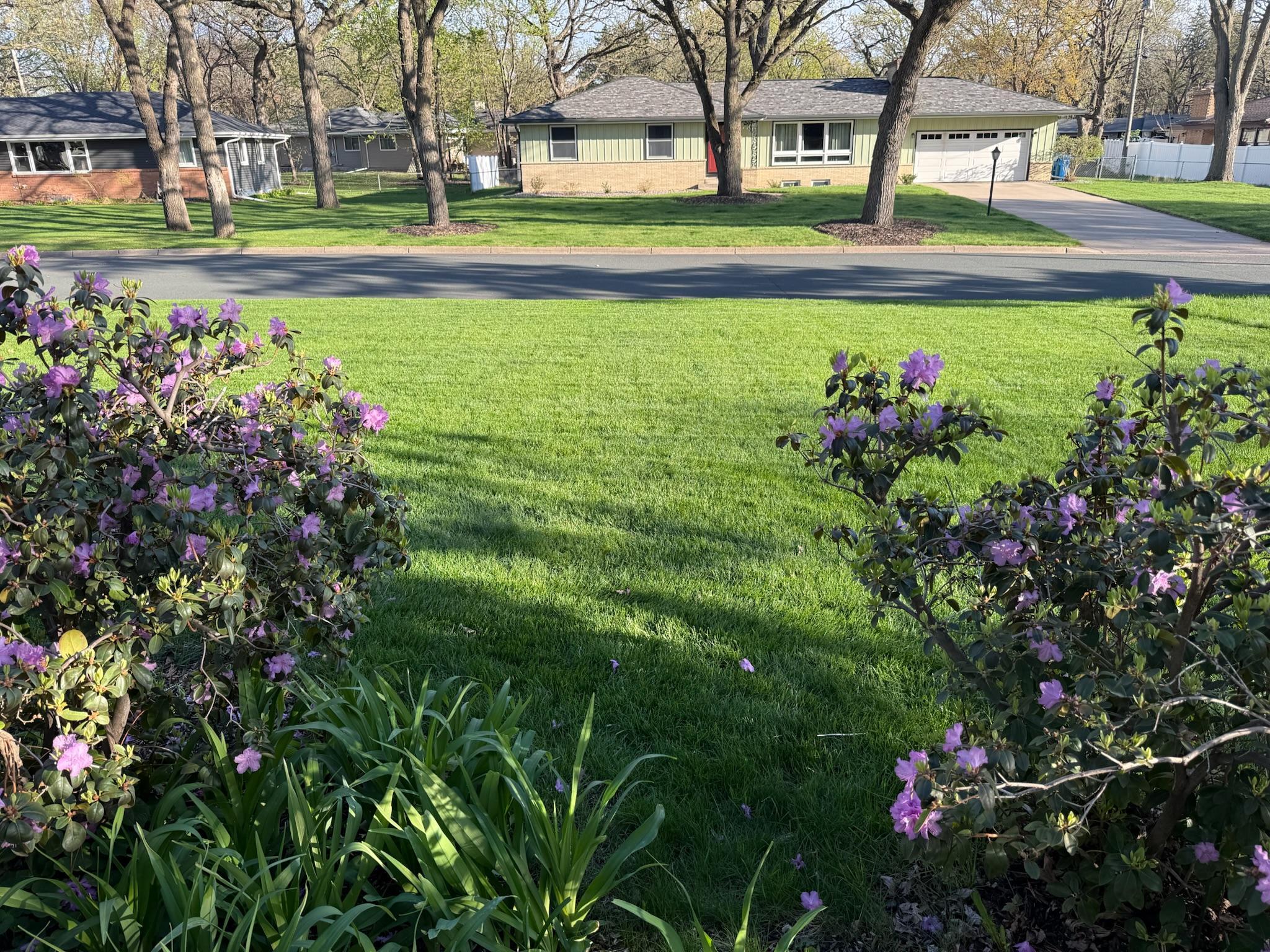 main property photo 76