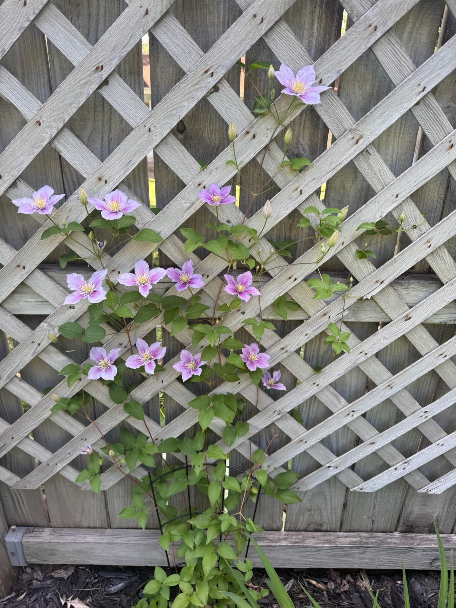 main property photo 80