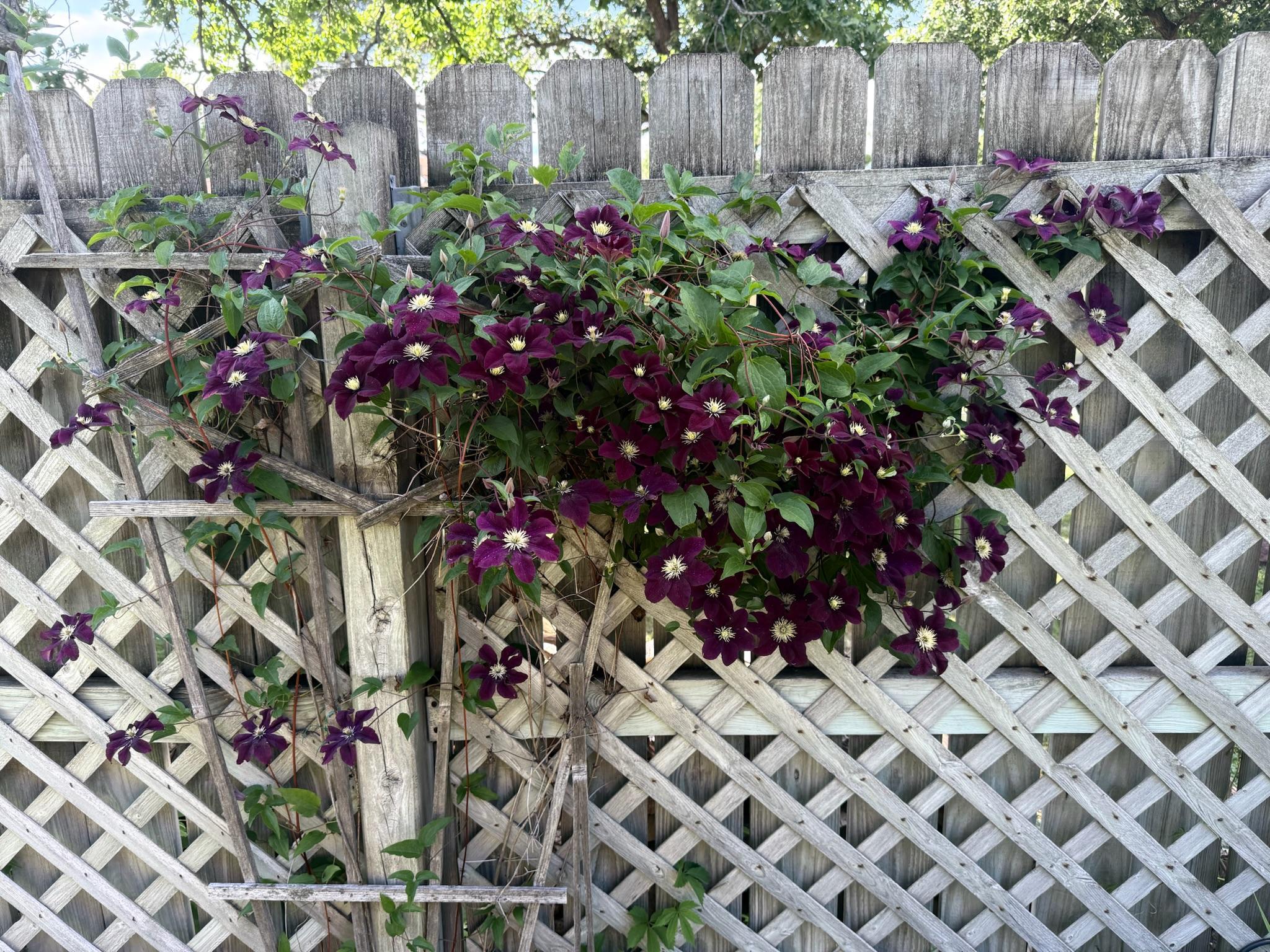 main property photo 81