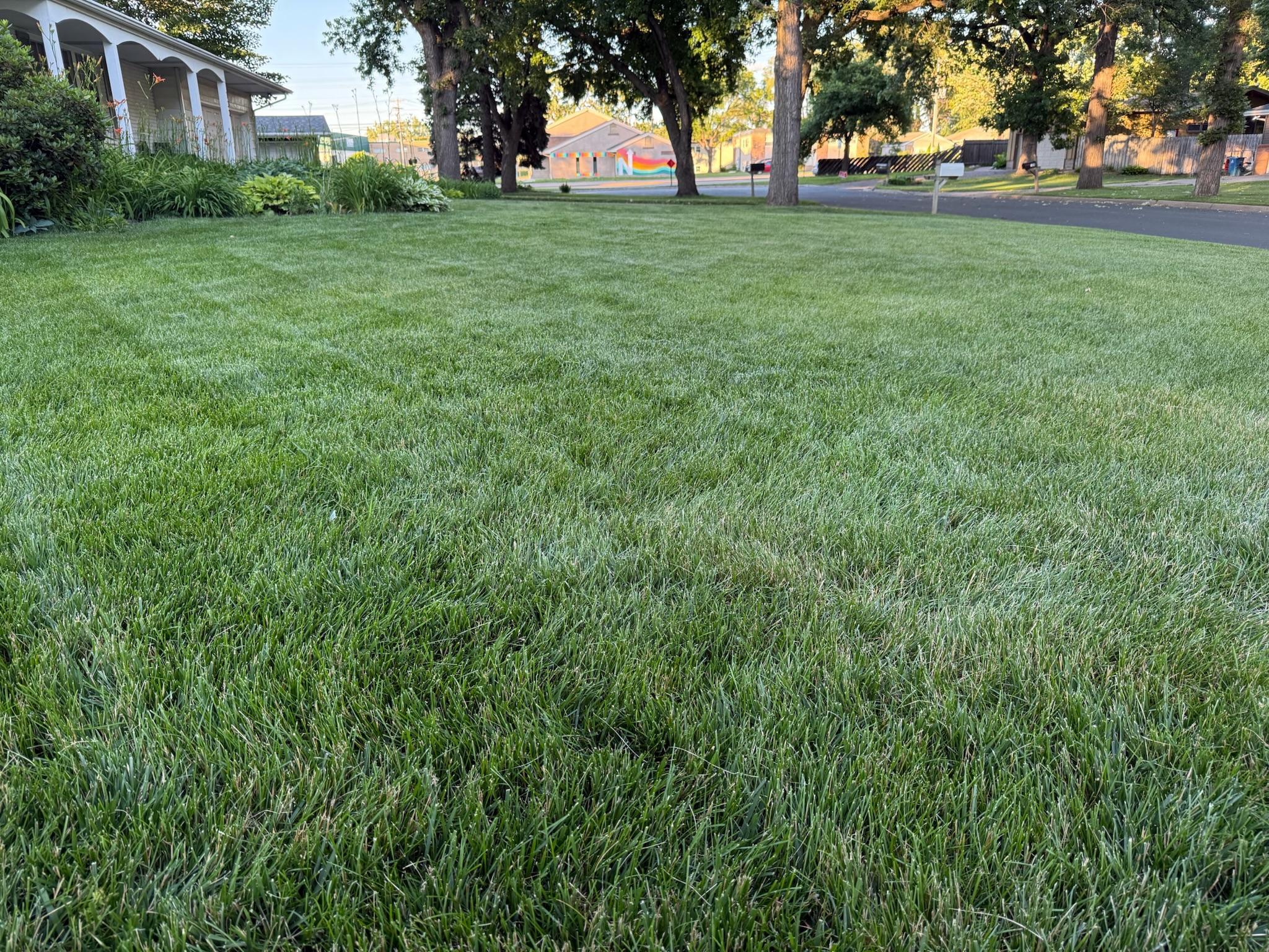 main property photo 82