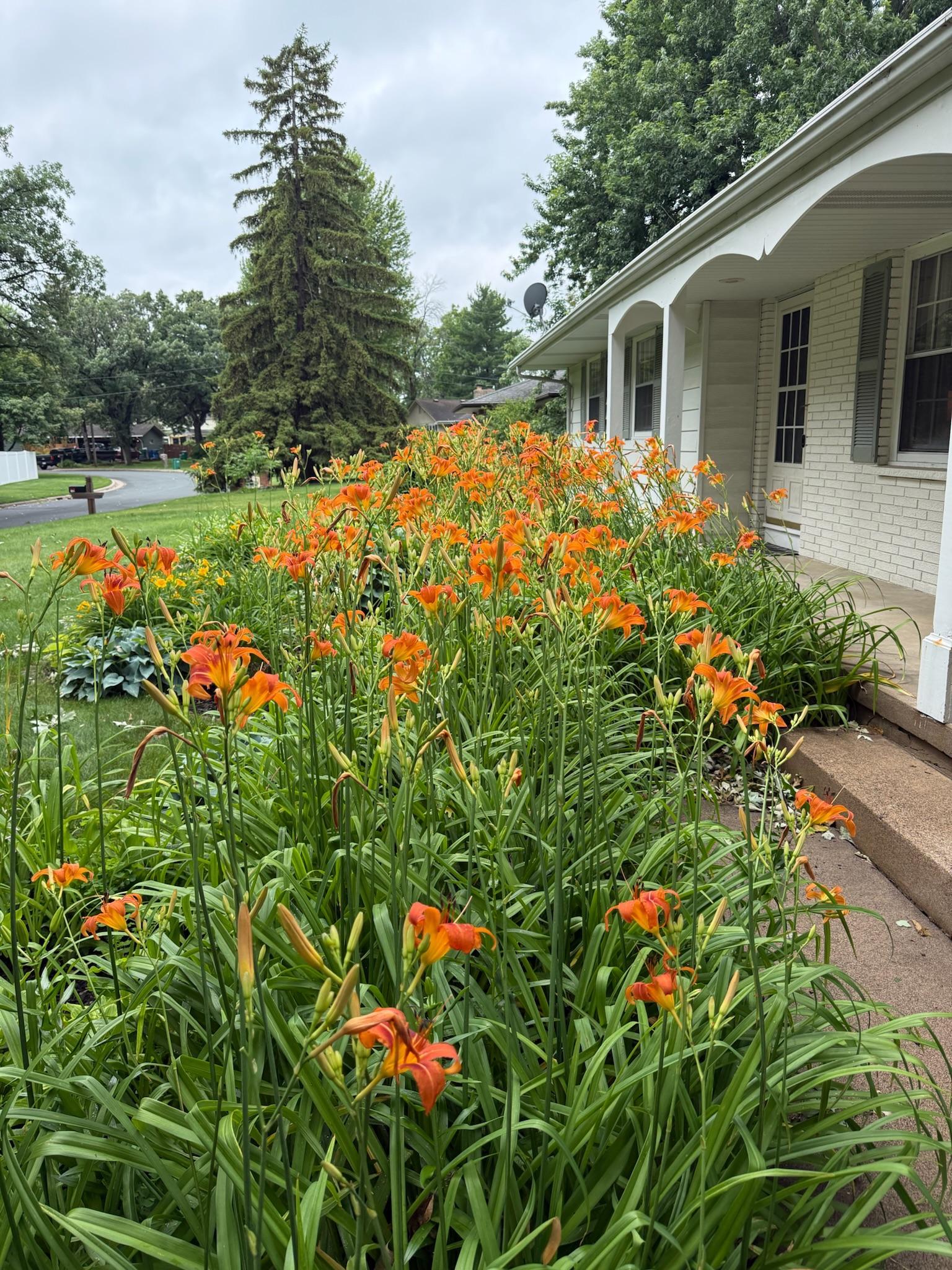 main property photo 84