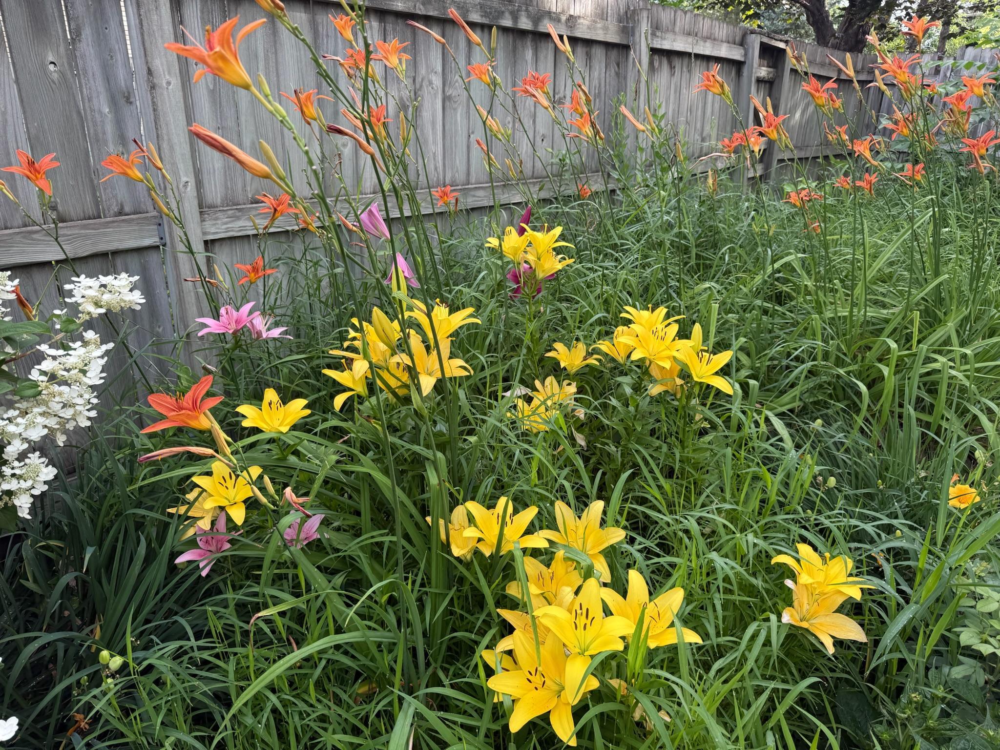 main property photo 87