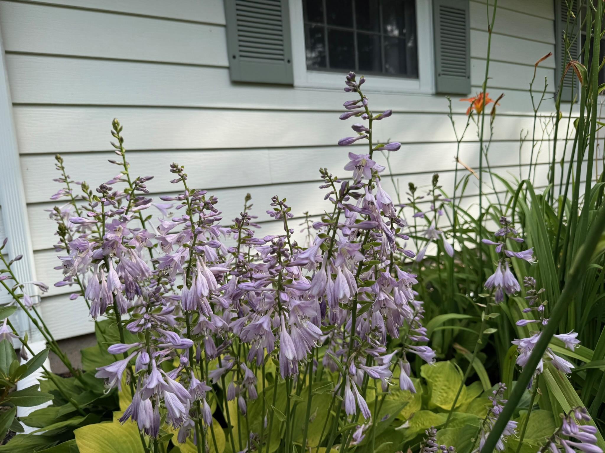 main property photo 90