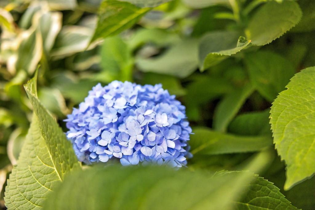 main property photo 99