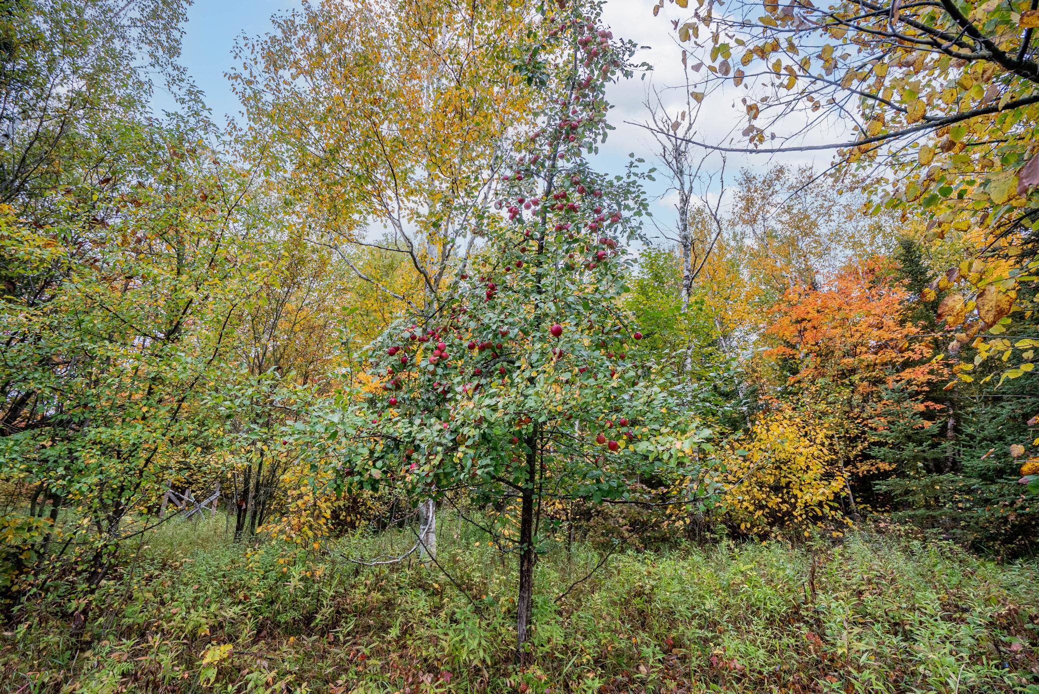 main property photo 31