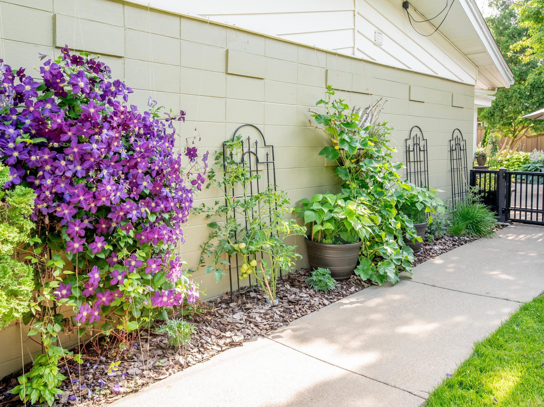 main property photo 120