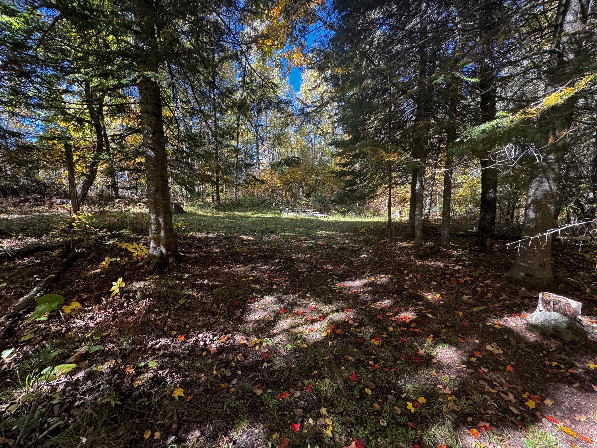 main property photo 21