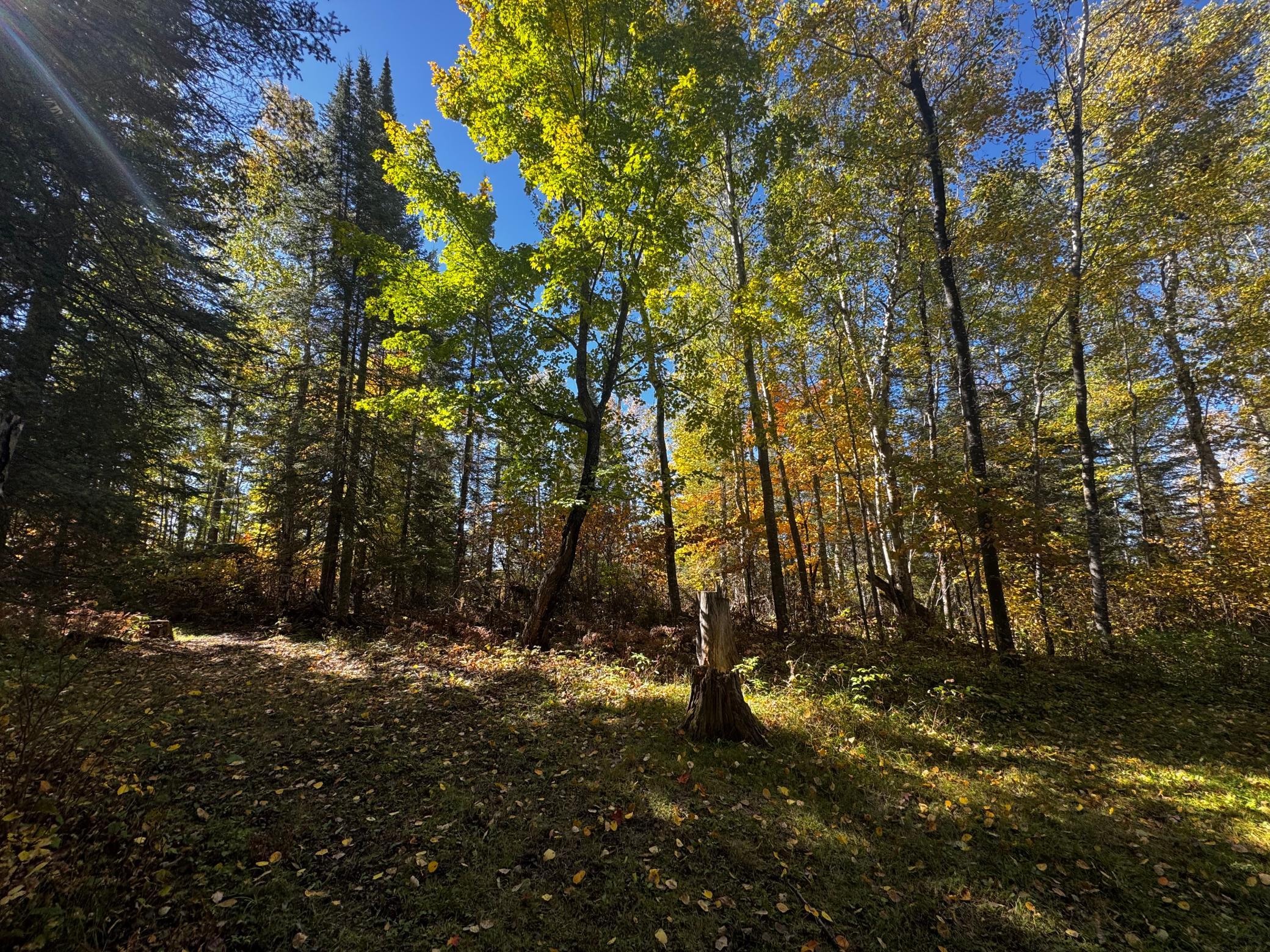 main property photo 22