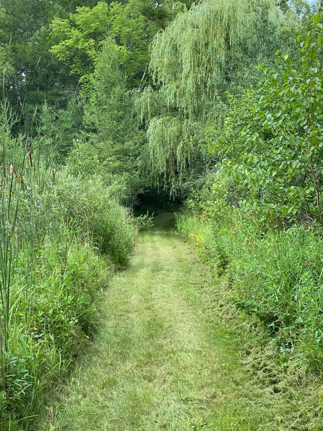 main property photo 38