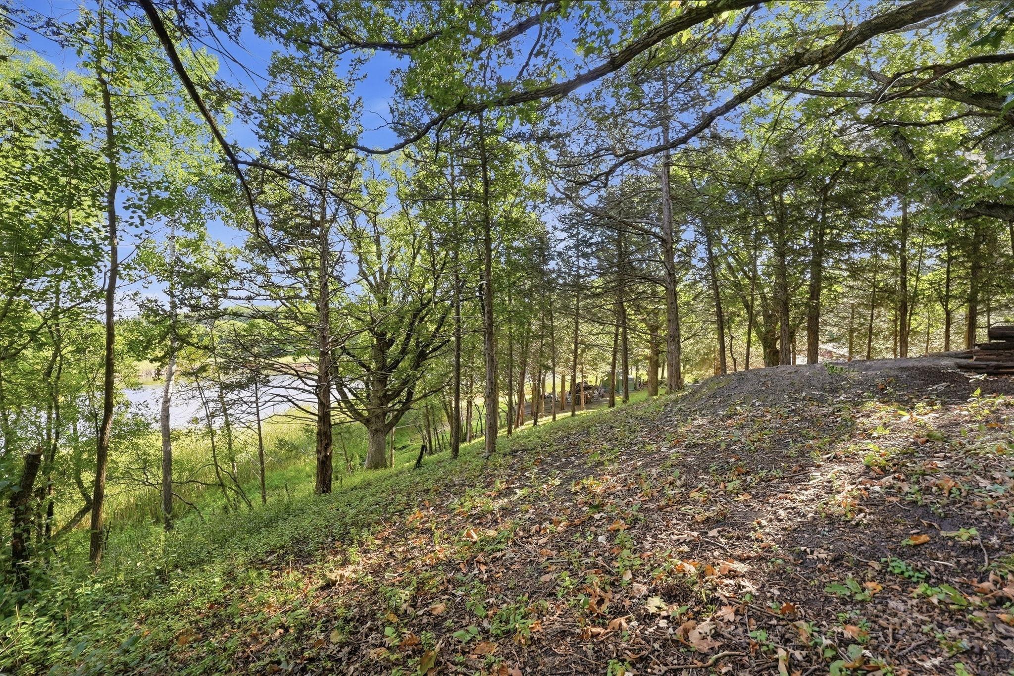 main property photo 85