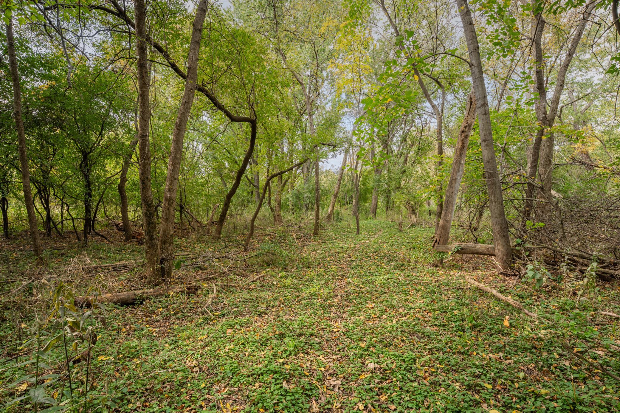 main property photo 55