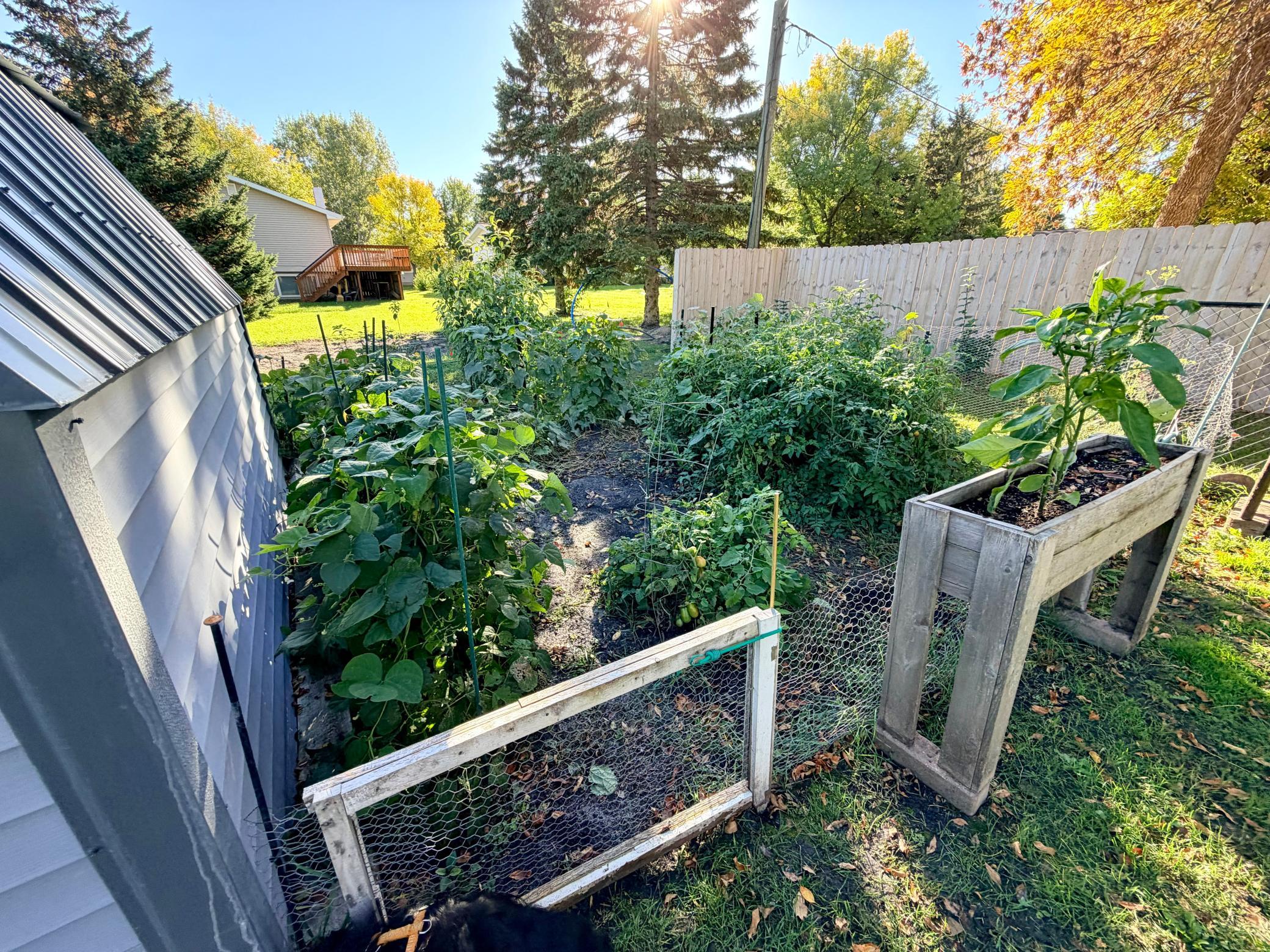 main property photo 29